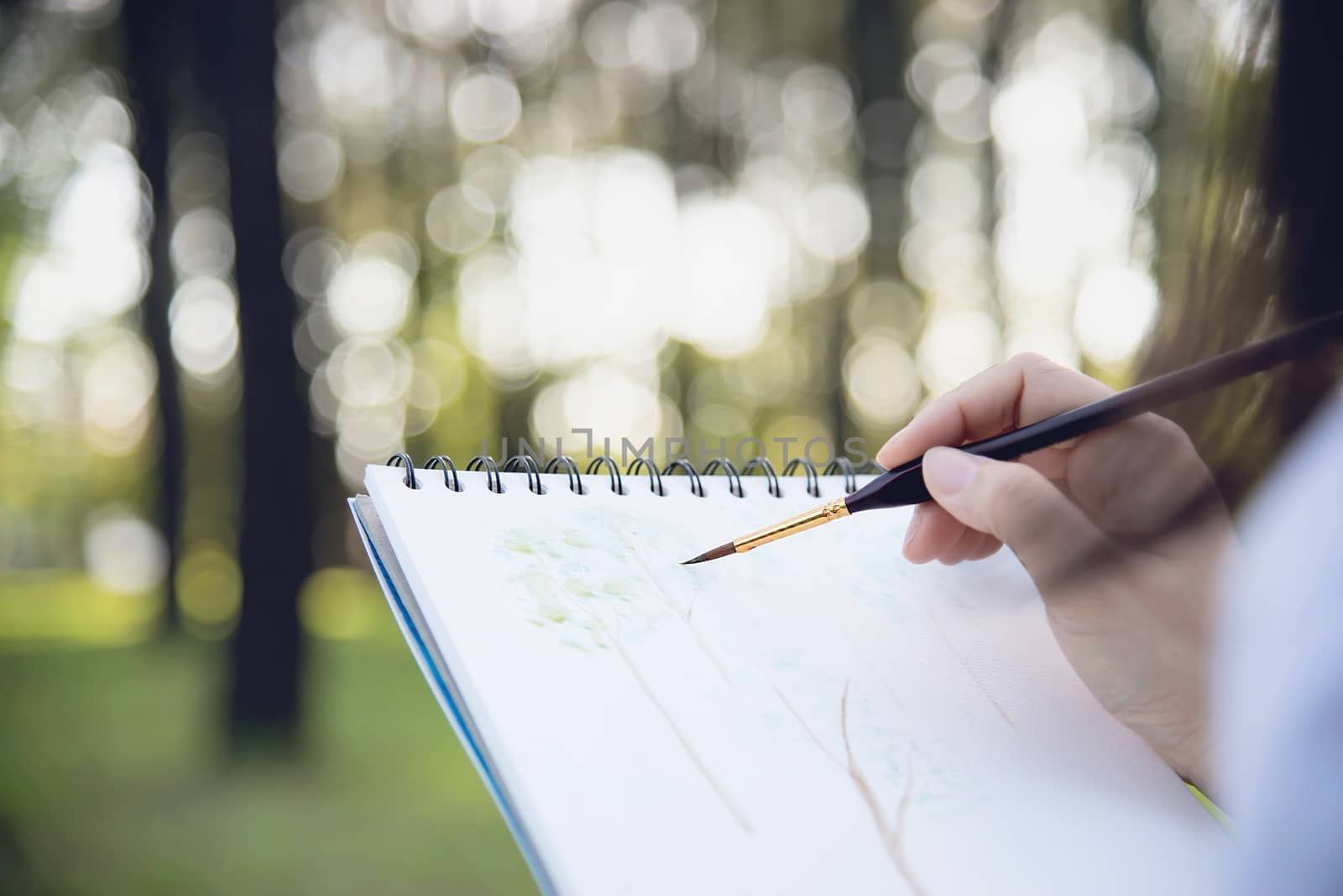 Relax woman painting water colour art work in green garden forest nature - people with creative art in nature stress reduction and meditation concept