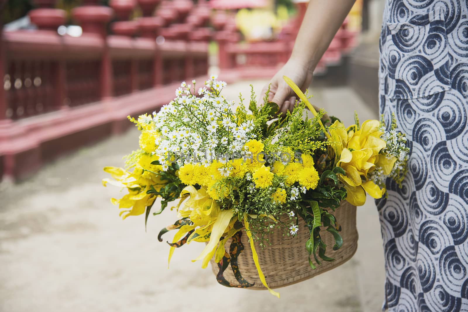 Asian lady holding fresh yellow flowers basket for participation local traditional Buddhist  ceremony - people with religion relationship concept by pairhandmade