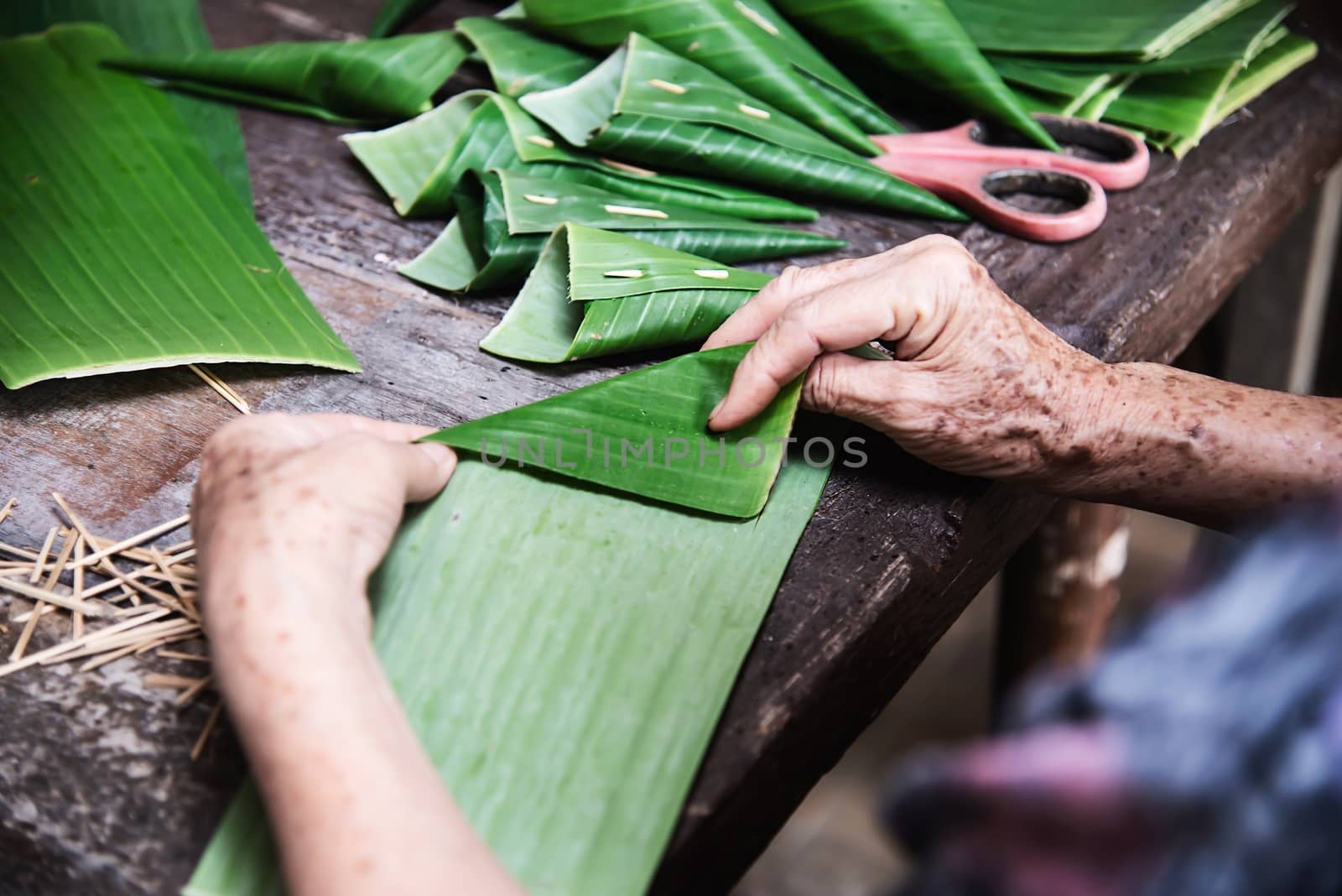 Old grandmother hands working with banana leaf for making flowers container - people making traditional item for local ceremony participation