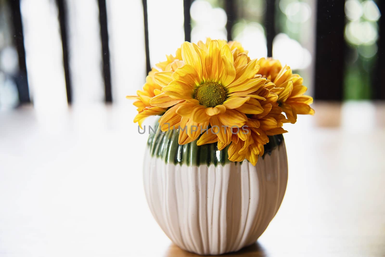 Fresh colorful small sun flower in ceramic pot - yellow flower decoration for background use