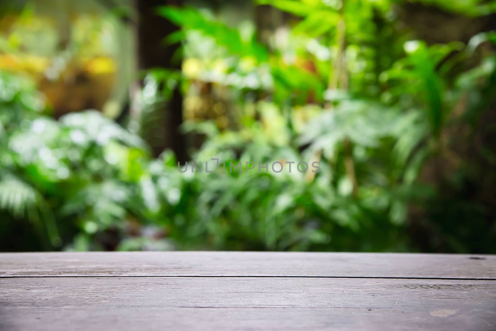 Empty wooden plank floor space with green garden leaves background - product display space with fresh green nature background concept