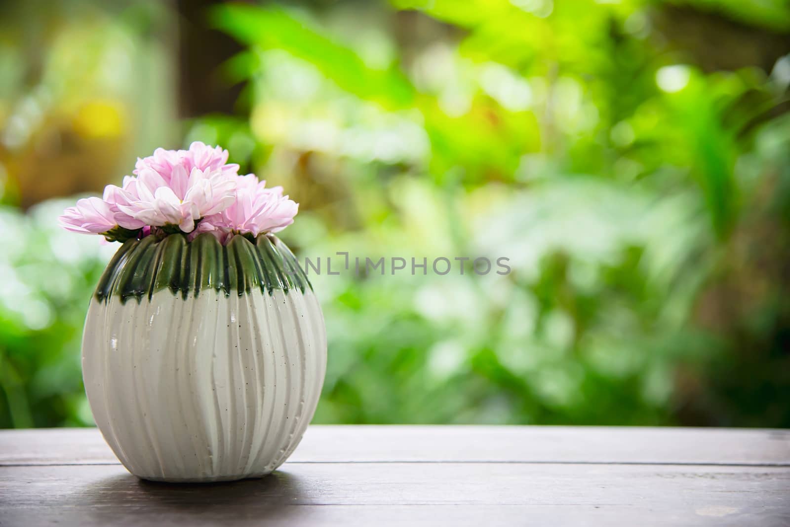 Fresh colorful flower in a small ceramic pot - colorful flower decoration pot for background use concept by pairhandmade