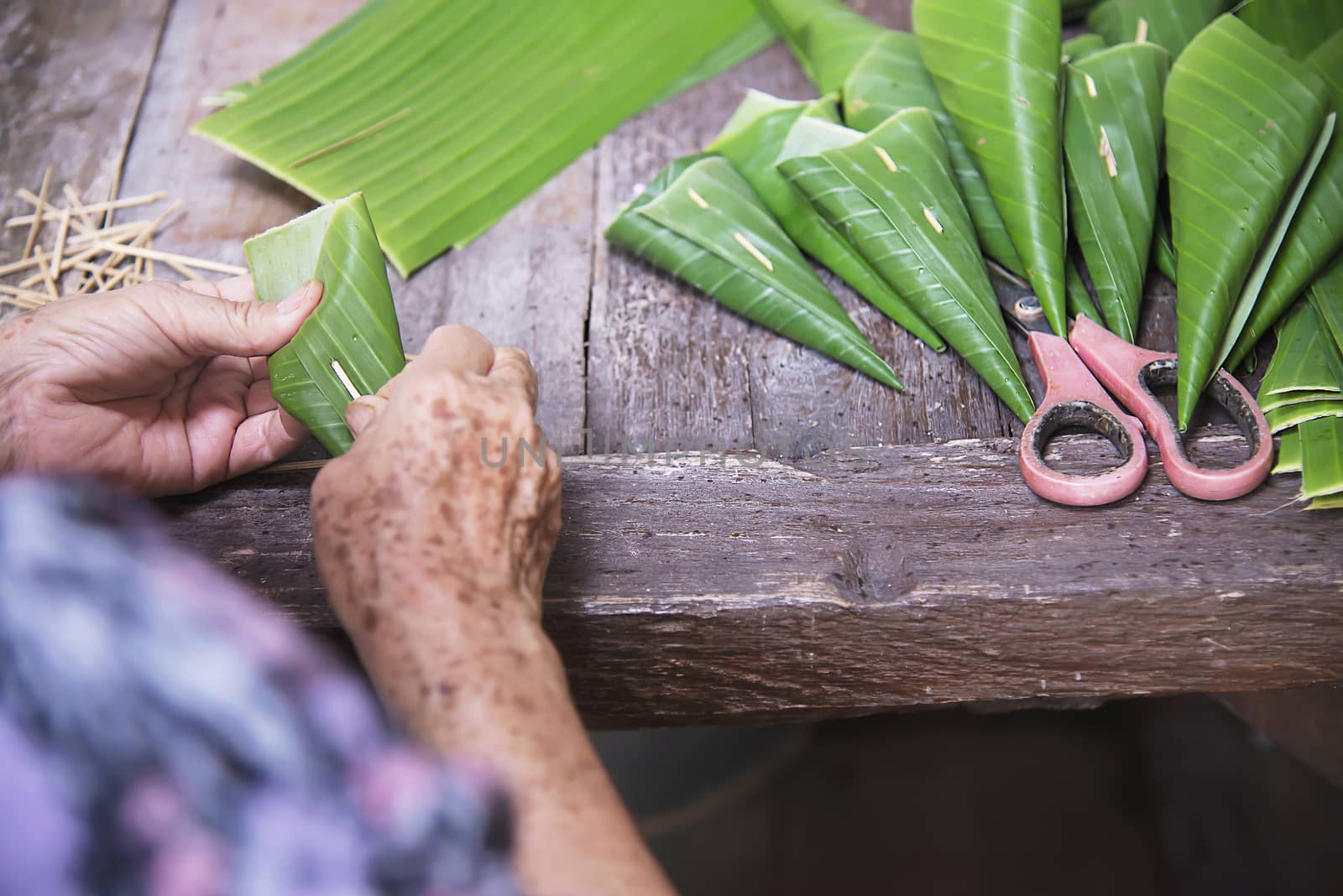 Old grandmother hands working with banana leaf for making flowers container - people making traditional item for local ceremony participation by pairhandmade