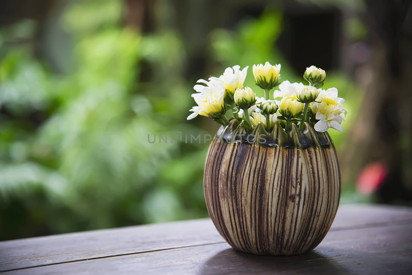 Fresh colorful flower in a small ceramic pot - colorful flower decoration pot for background use concept by pairhandmade