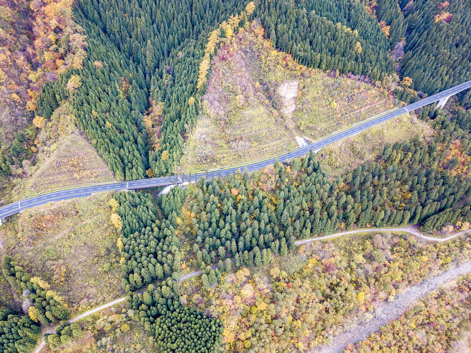 The colourful leaves in Autumn at Naruko Gorge, Osaki, Miyagi, Japan