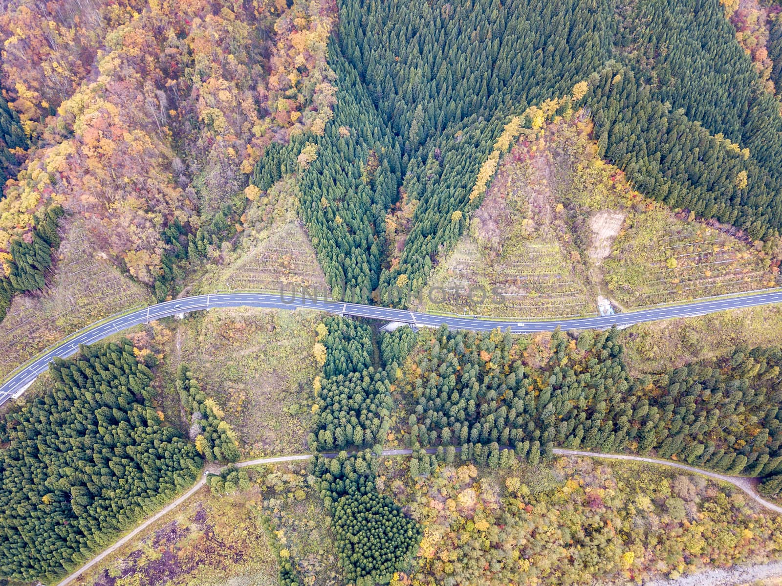 The colourful leaves in Autumn at Naruko Gorge, Osaki, Miyagi, Japan