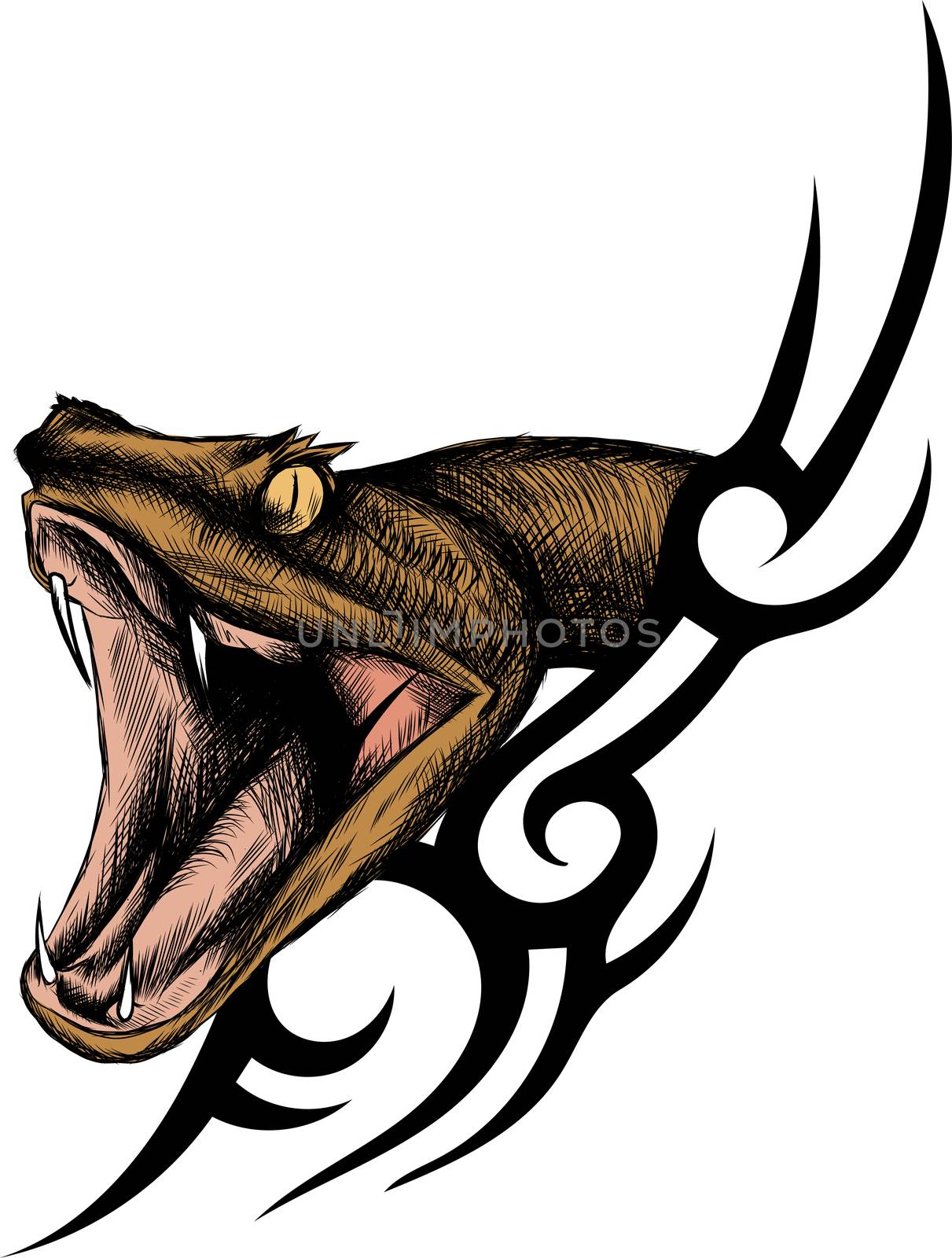 snake. Hand drawn  illustration in ink technique on grunge background, good for poster, sticker, tee shirt design.
