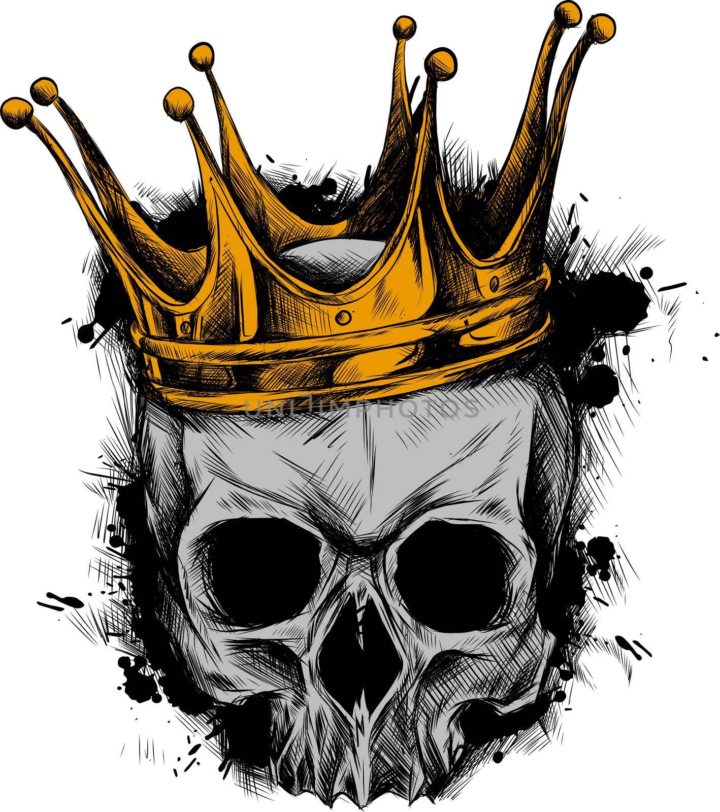 Illustration of black and white skull in crown with beard isolated on white background by dean