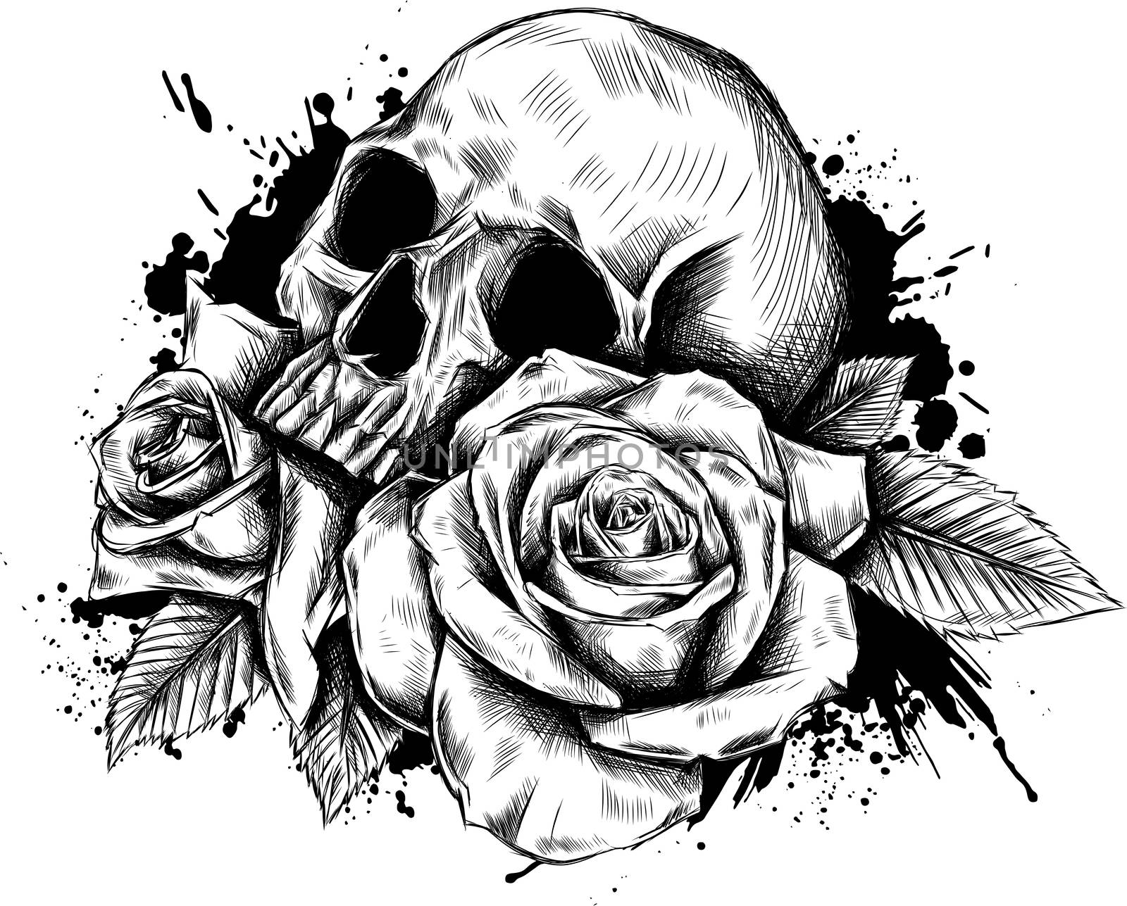 Skull with flowers, with roses. Drawing by hand 