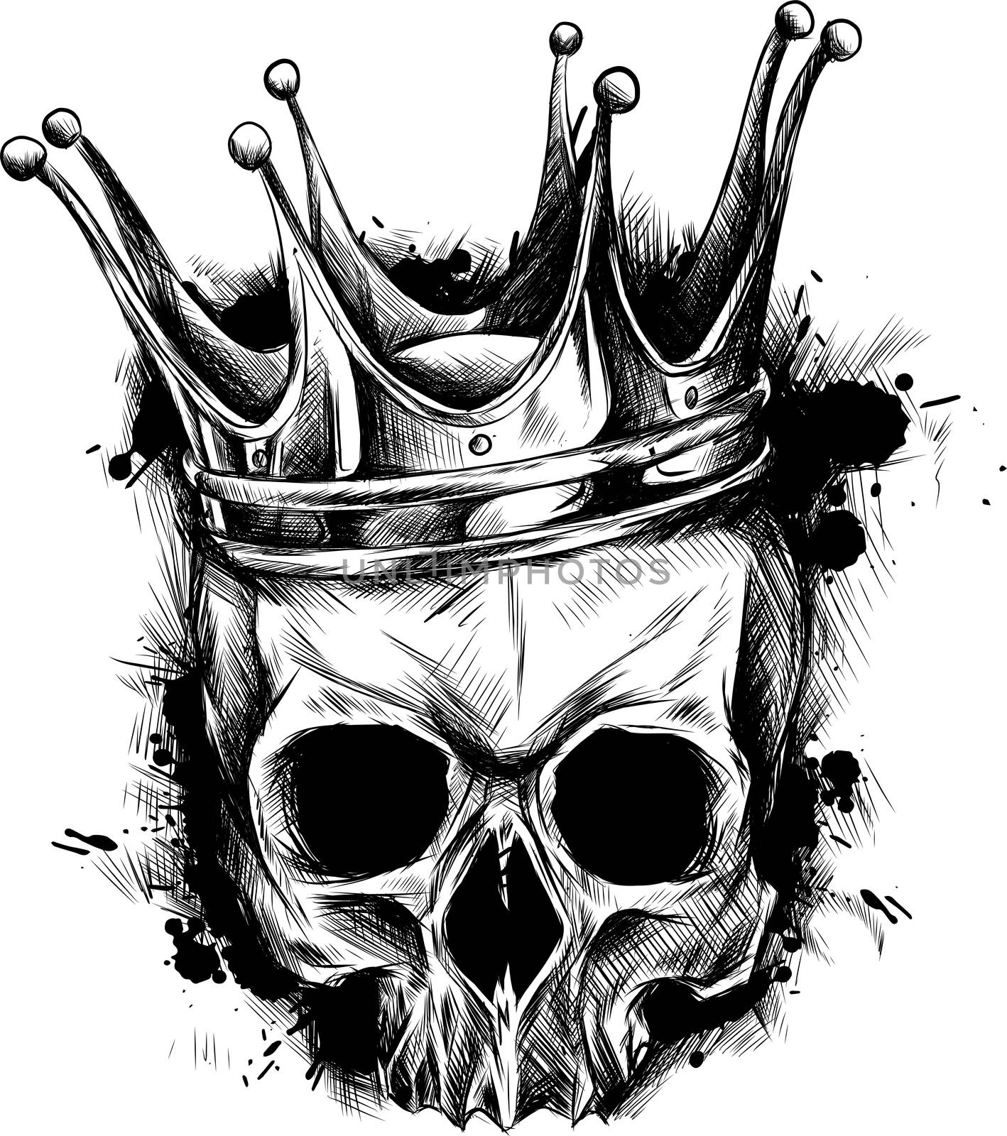 Illustration of black and white skull in crown with beard isolated on white background by dean