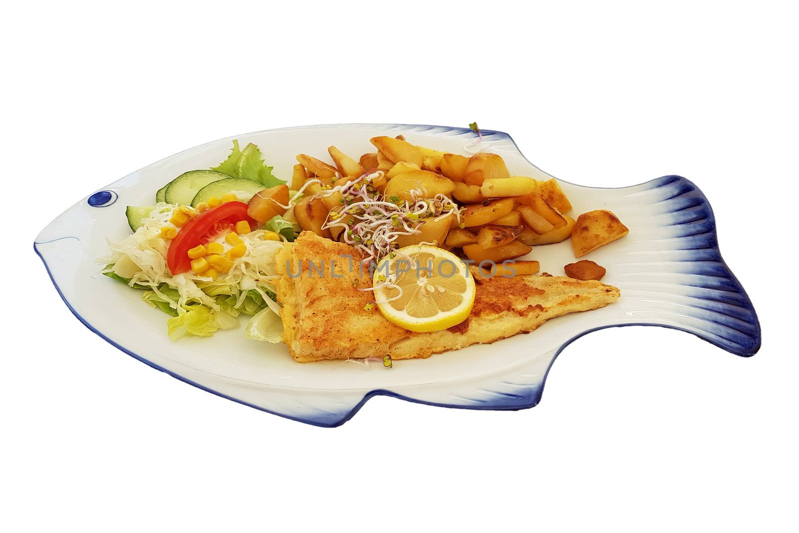 Fried fish on fish-shaped plate  by JFsPic