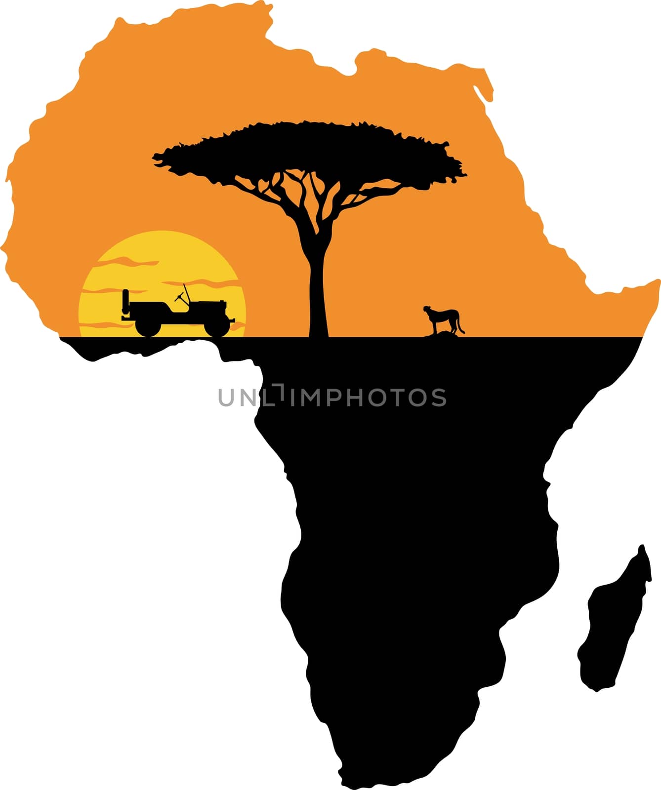 Cheetah on the background of Africa map