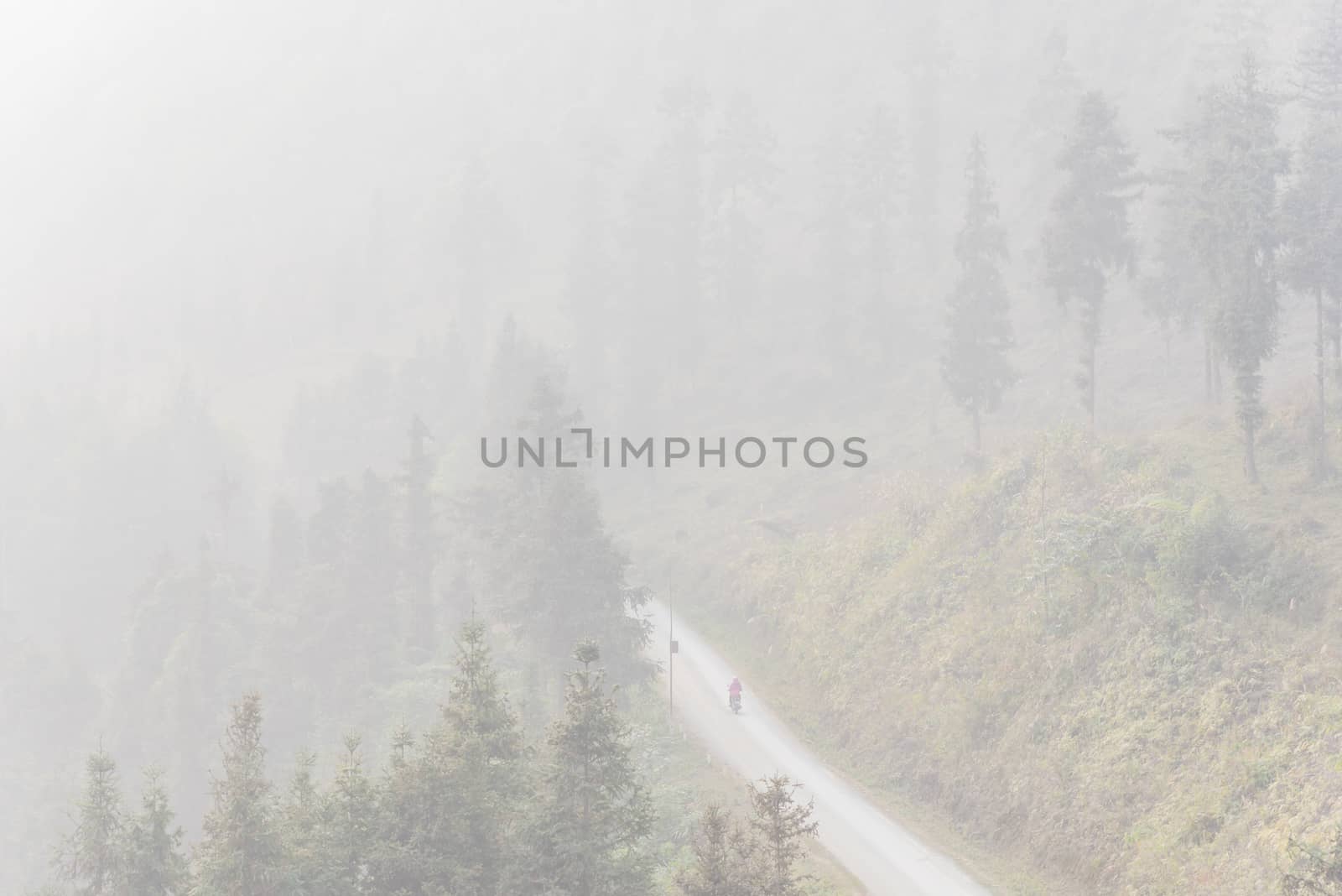 Lonely Asian lady riding a motorbike thru the foggy mountain road in the North Vietnam by trongnguyen