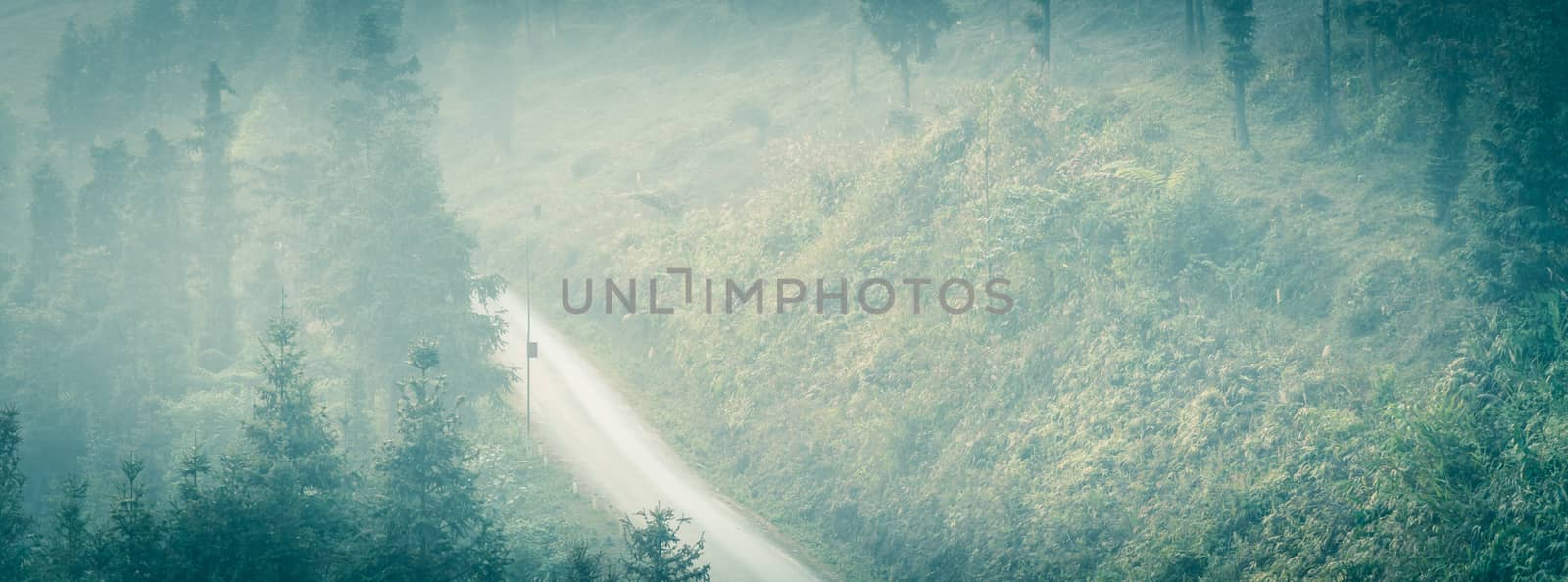 Panorama foggy mountain landscape in the North Vietnam. Winding road path thru the valley with row of pine trees leading to horizontal