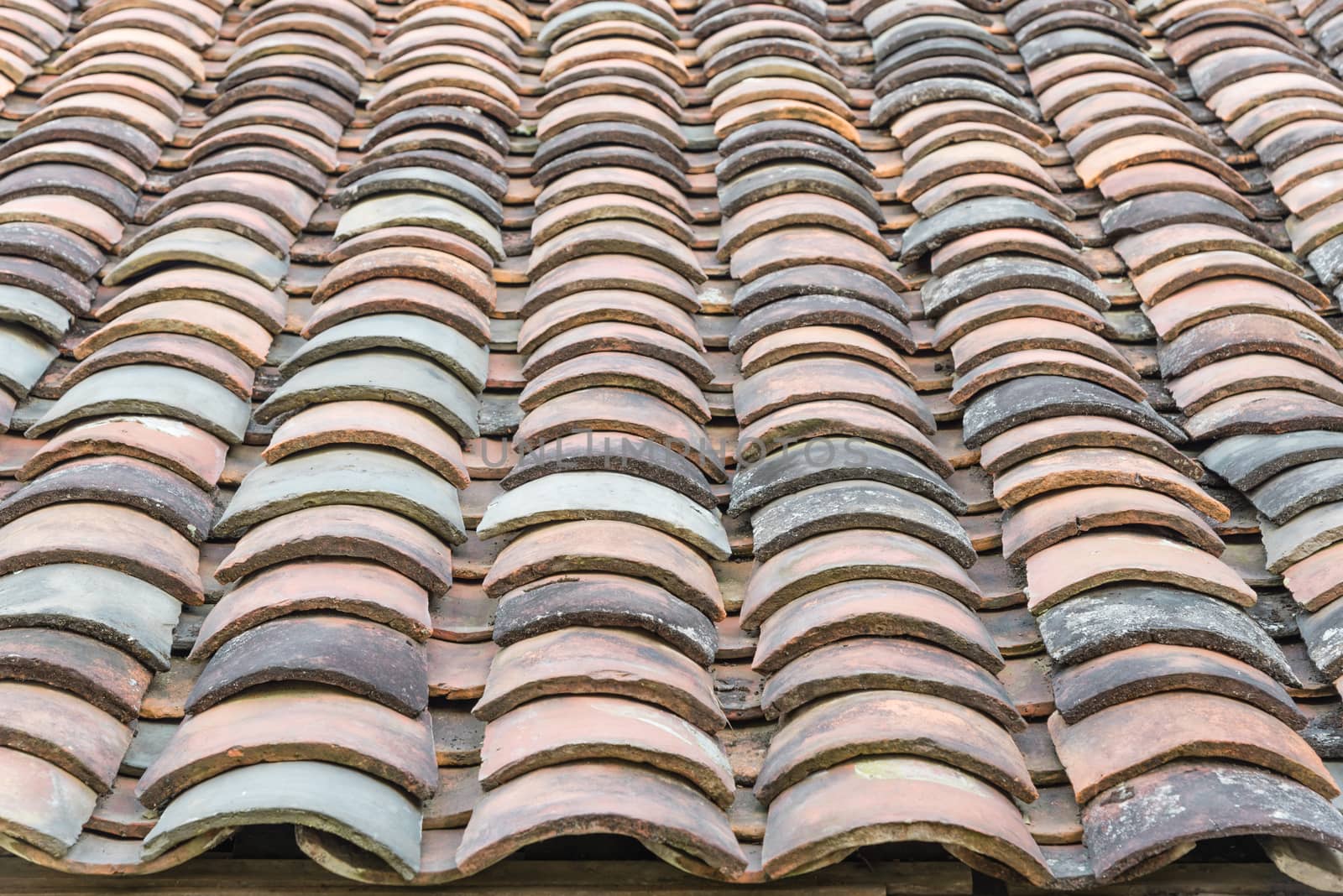 Close-up view curved clay tiled roof in various colors from an old house in North Vietnam, late afternoon light. Ancient, weathered roof tile surface, moss texture. Natural seamless pattern background