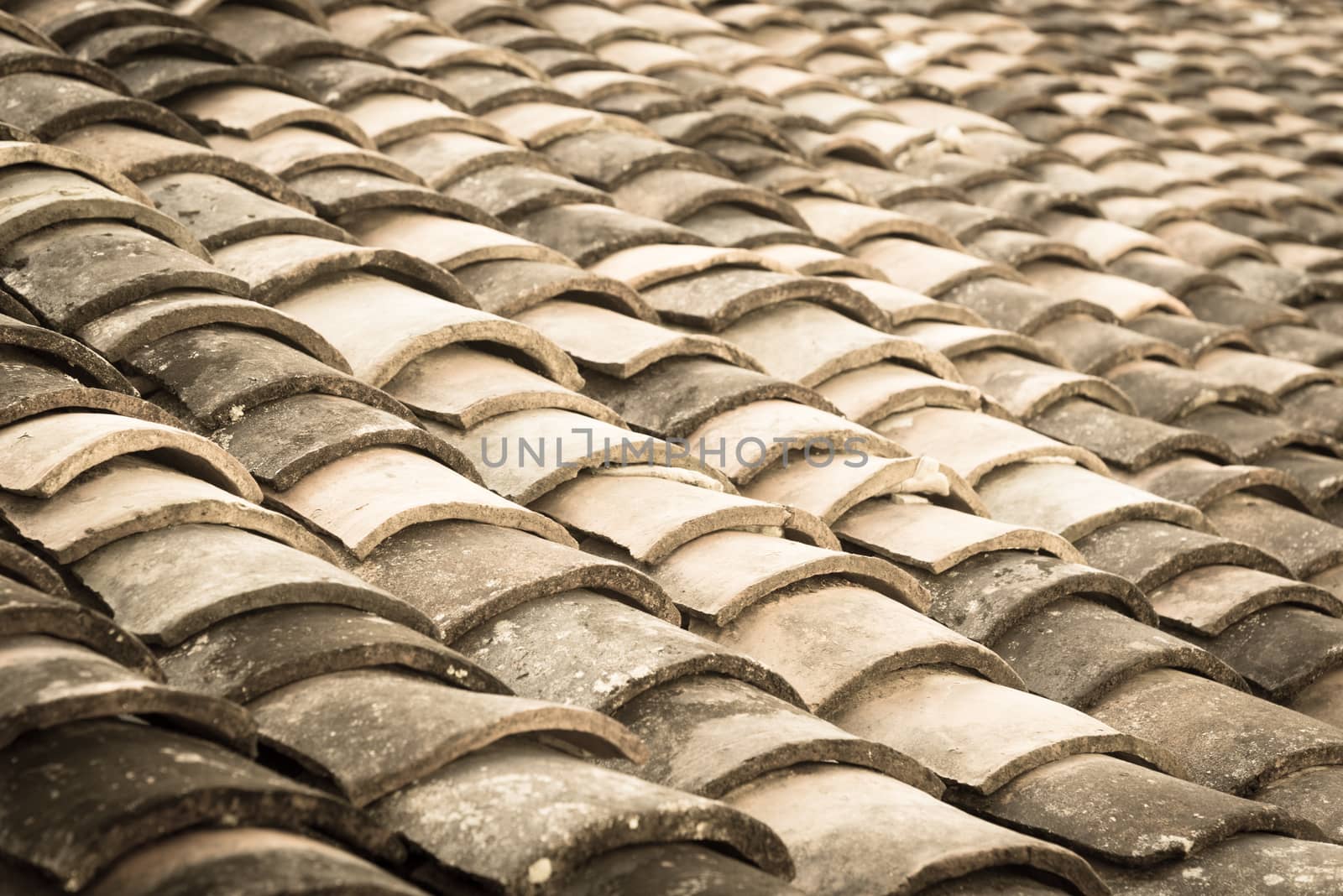 Vintage tone curved clay tiled roof in various colors from an old house in North Vietnam, late afternoon light. Ancient, weathered roofing surface, moss texture. Natural seamless pattern background