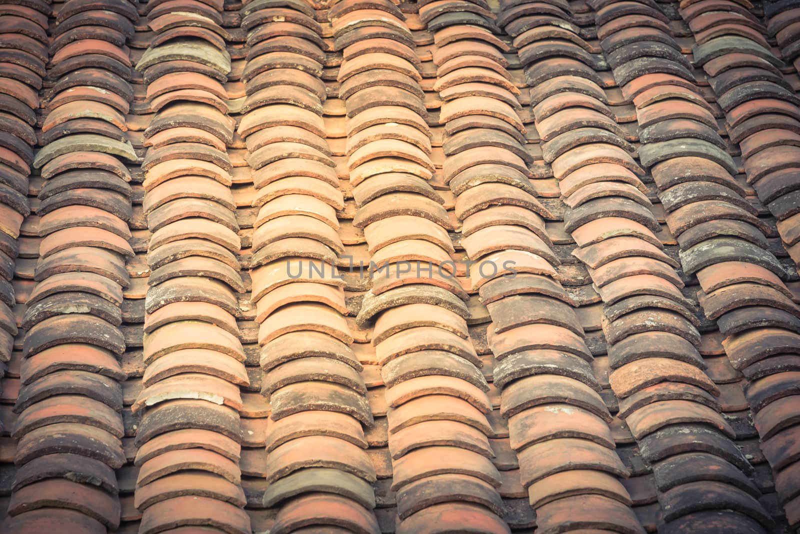 Vintage tone curved clay tiled roof in various colors from an old house in North Vietnam, late afternoon light. Ancient, weathered roofing surface, moss texture. Natural seamless pattern background