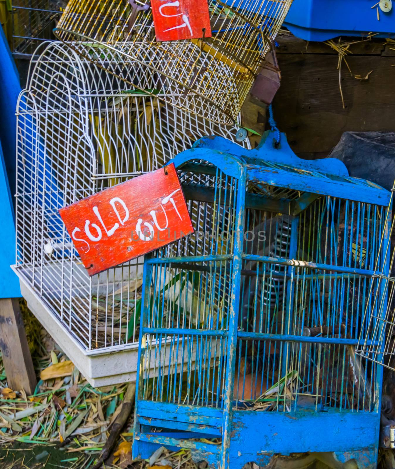 bird cages in closeup with sold out sign, Pet trade in Asia, Animal shop background by charlottebleijenberg