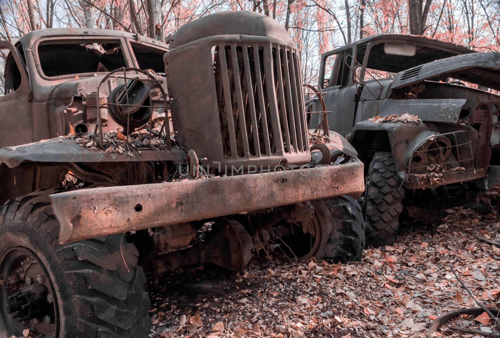 two abandoned rusty army trucks in the Chernobyl forest Ukraine