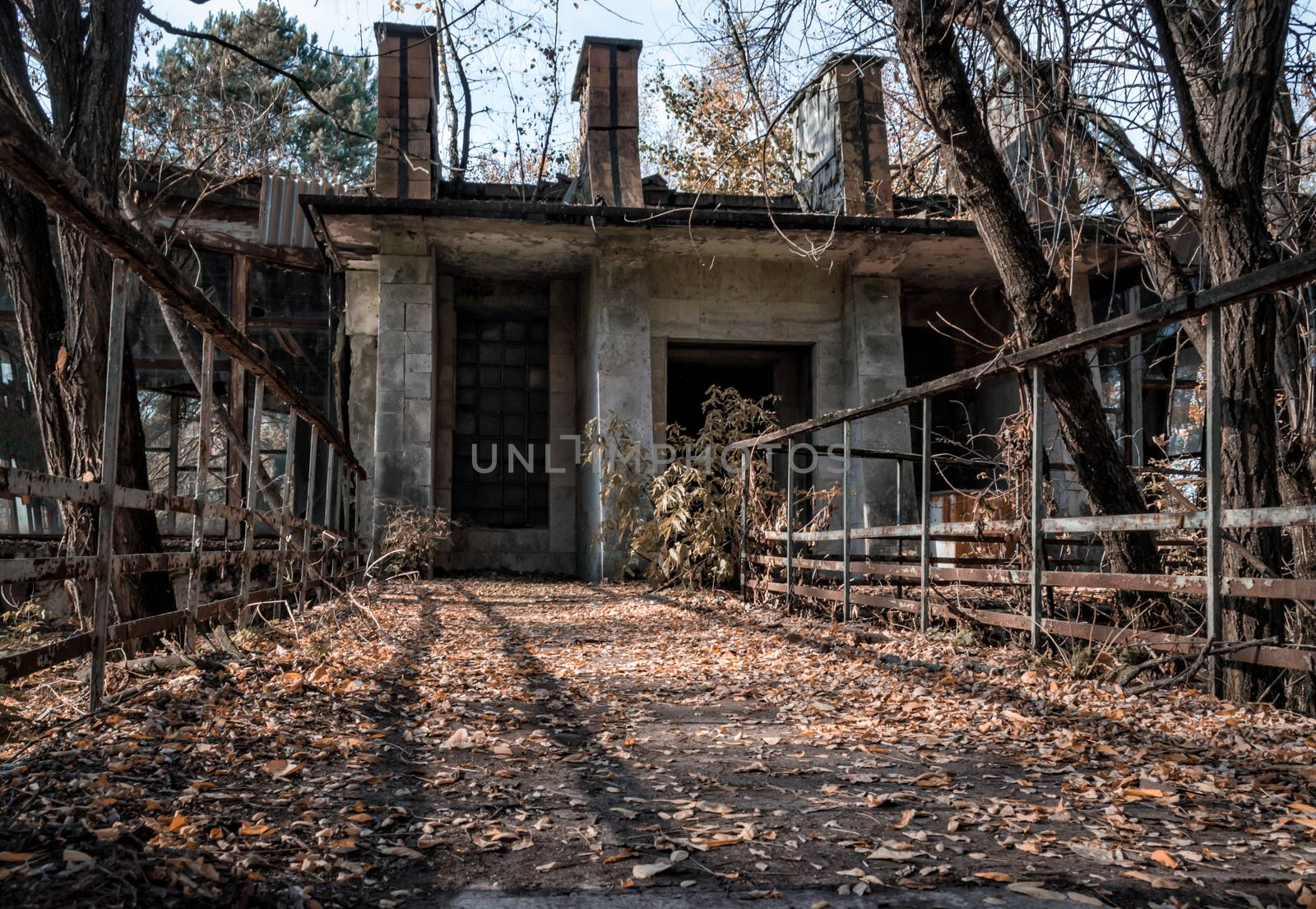abandoned building in an infected area with trees in Chernobyl Ukraine in autumn