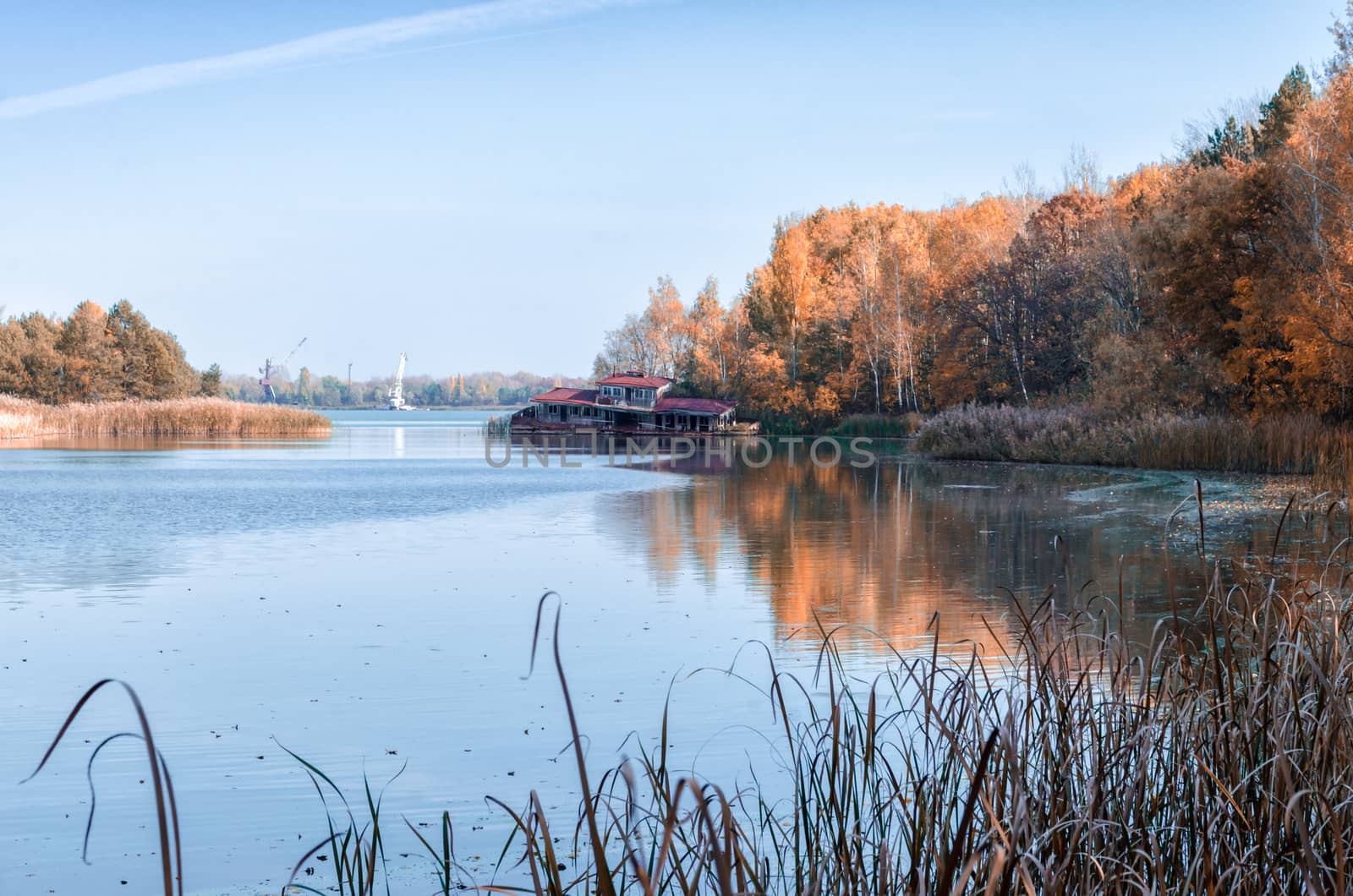 autumn landscape river and Chernobyl forest in Ukraine