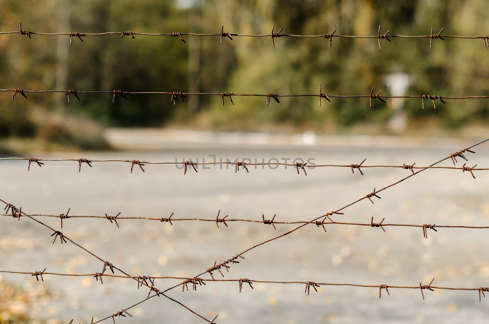 barbed wire fence background with green trees and road in Chernobyl Ukraine in autumn