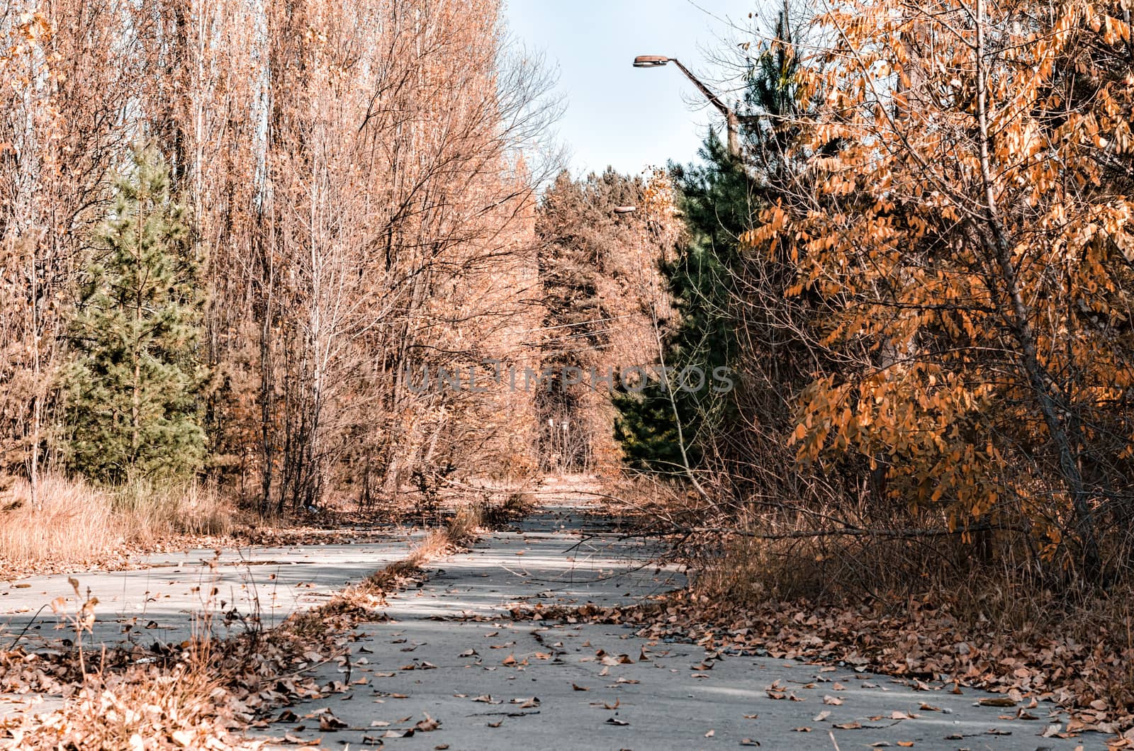 no people on the street in the abandoned city of Chernobyl Ukraine in autumn
