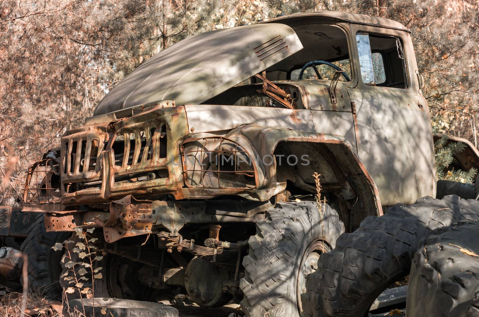 cabin and wheels abandoned rusty army truck in the forest in Chernobyl Ukraine