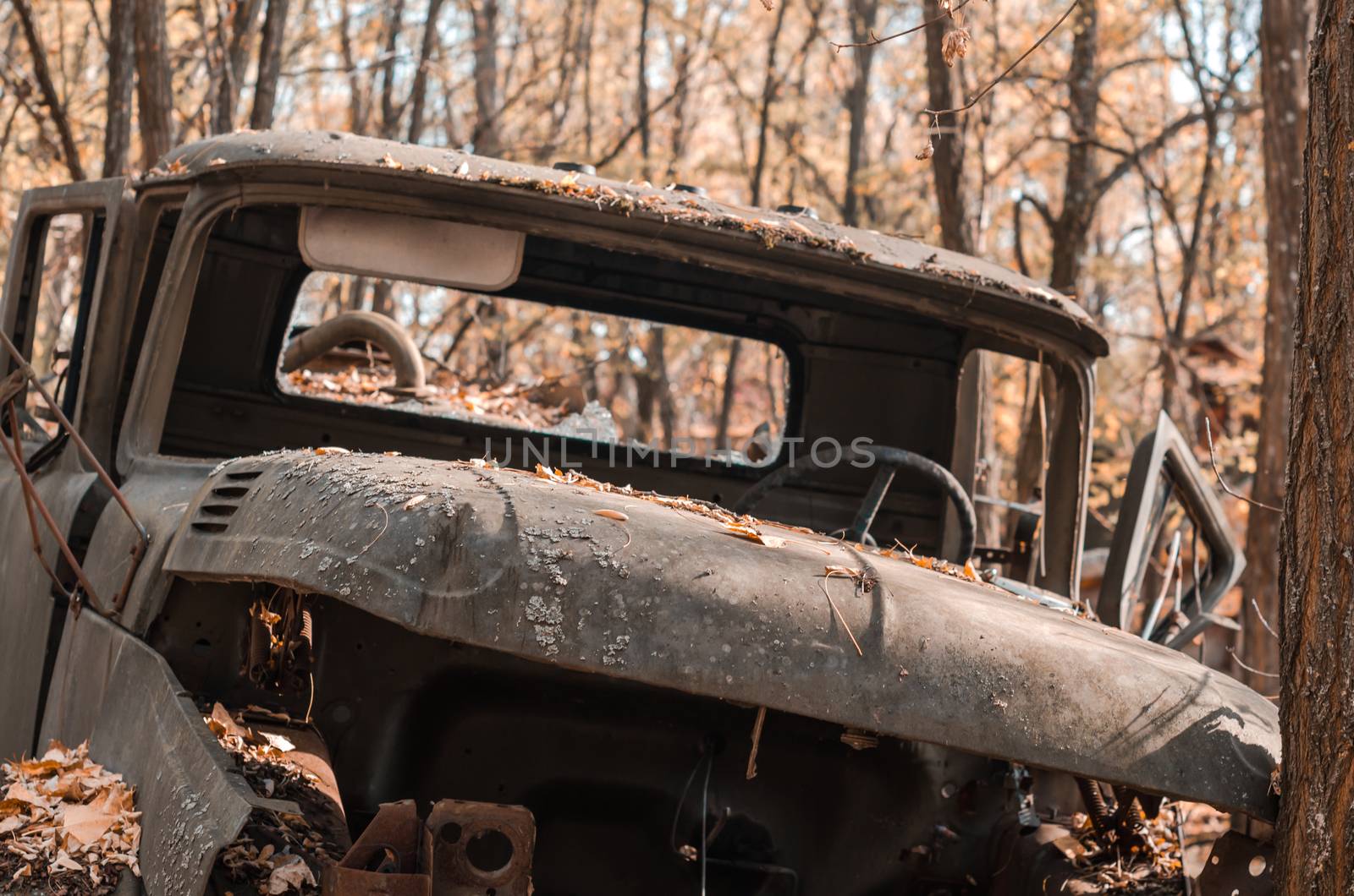 old broken army truck in the Chernobyl forest Ukraine close up
