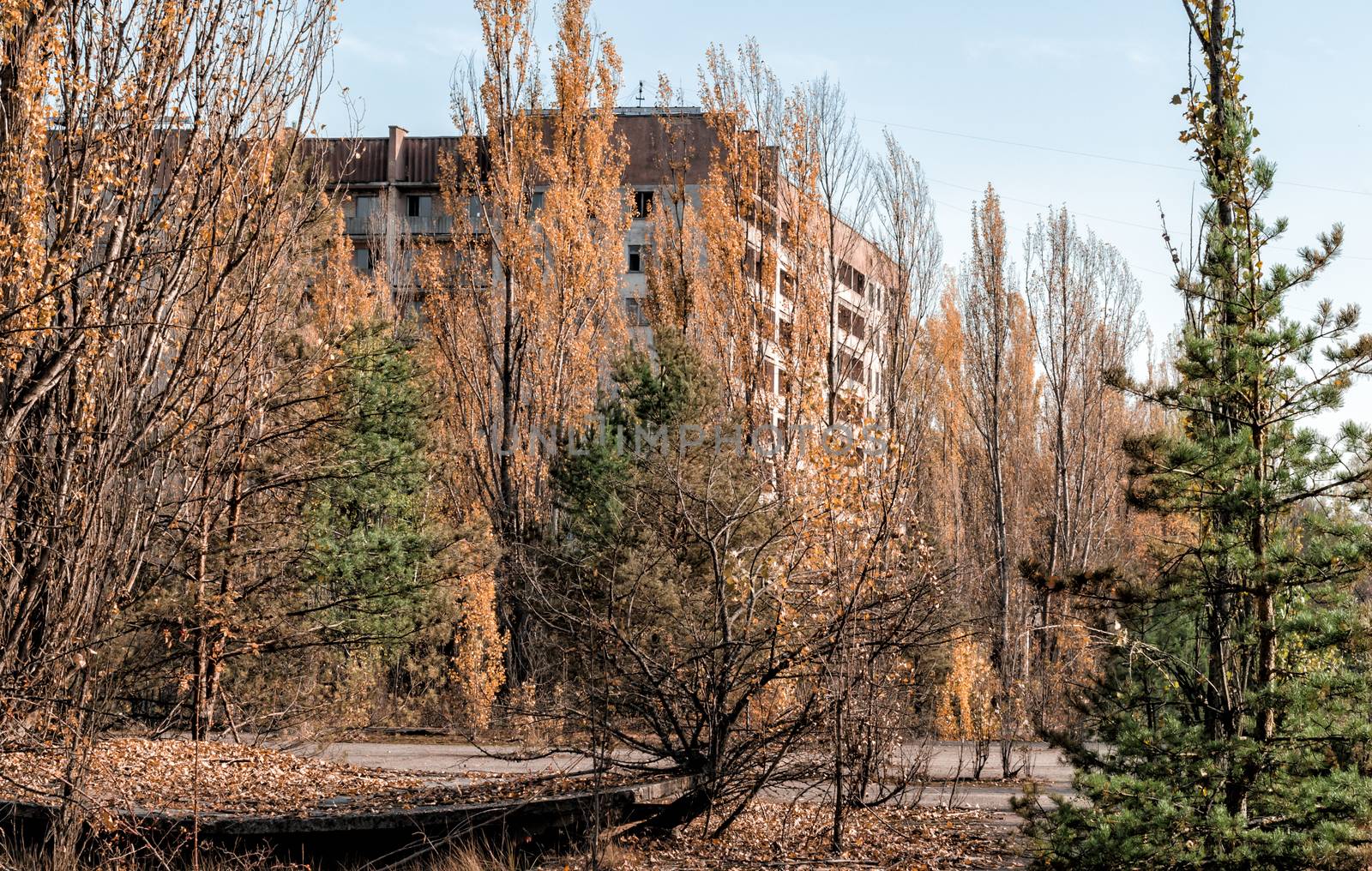 empty old houses on the street of the abandoned city Chernobyl Ukraine in autumn