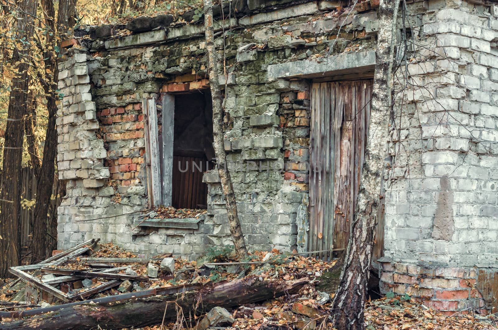 ruins of an old brick house and trees in Chernobyl Ukraine in autumn