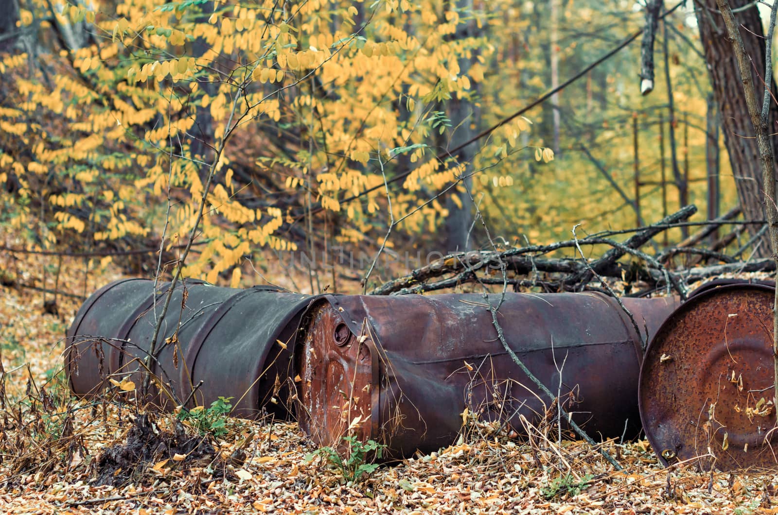 barrels of chemical waste in the forest in Chernobyl Ukraine in autumn
