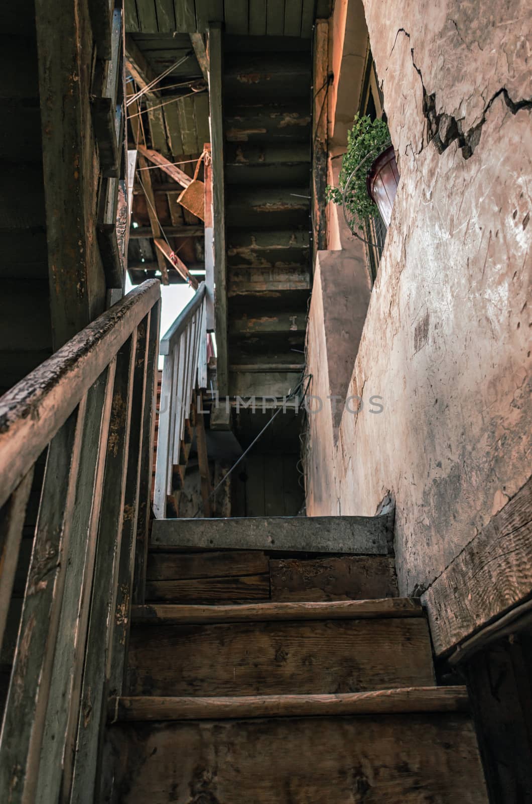 wooden steps of a staircase of an old vintage house with a crack in the wall and a green flower in the window in Georgia in Tbilisi