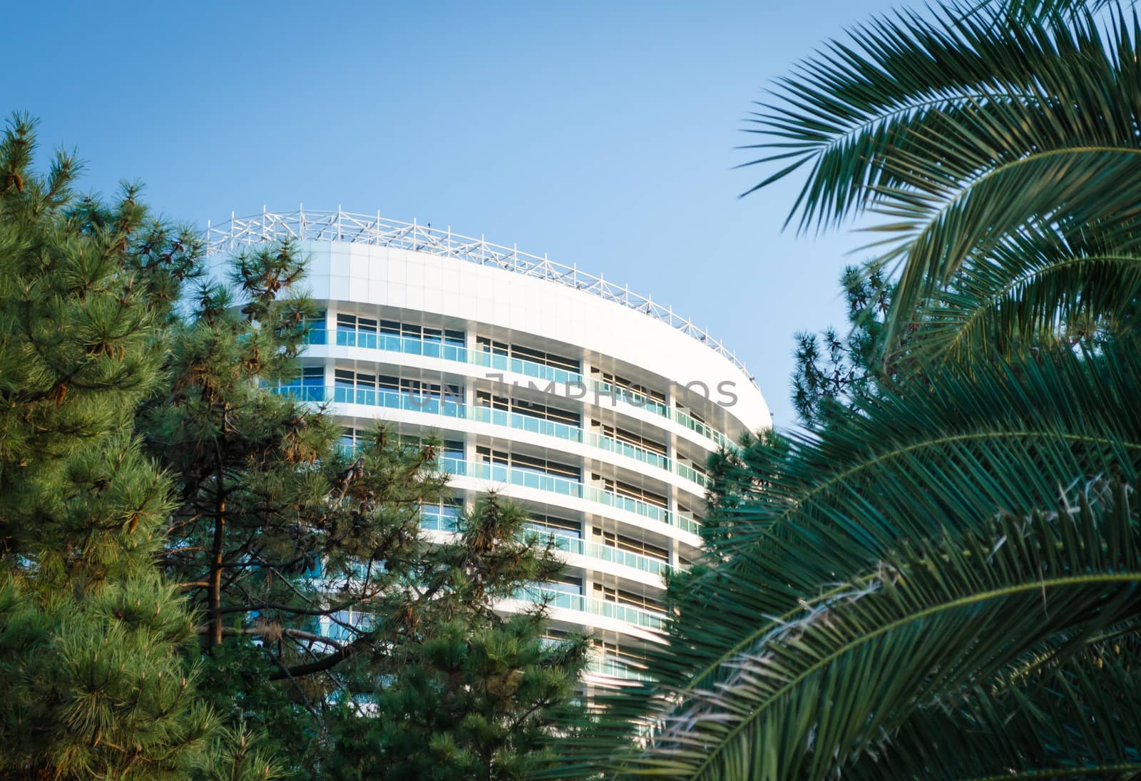 background modern hotel building among green branches of palm trees and spruce in Georgia Batumi