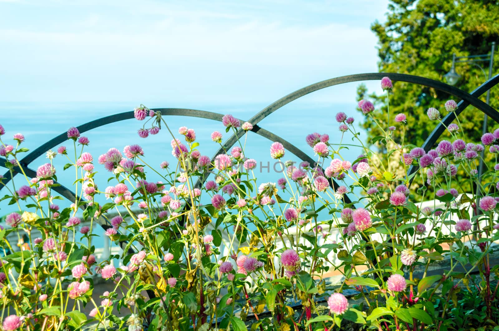 background of bright flowers on a background of blue sea and sky with clouds