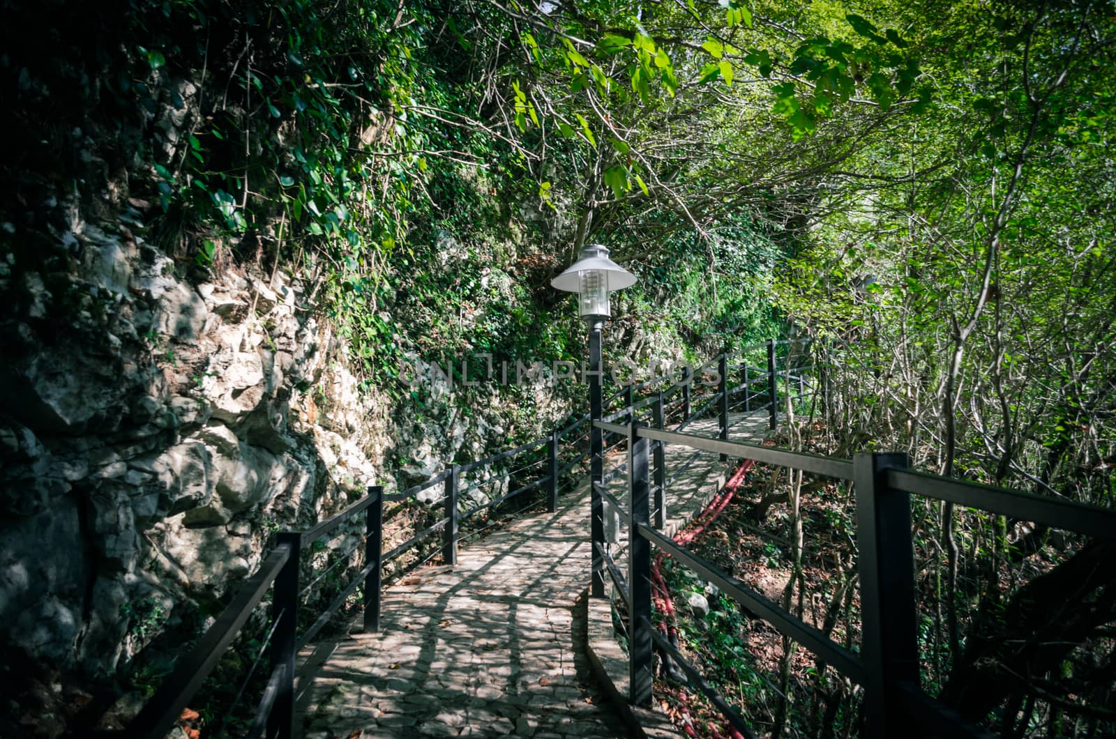 background alley in the park with a lantern and railing with a rock and green forest in Georgia in autumn