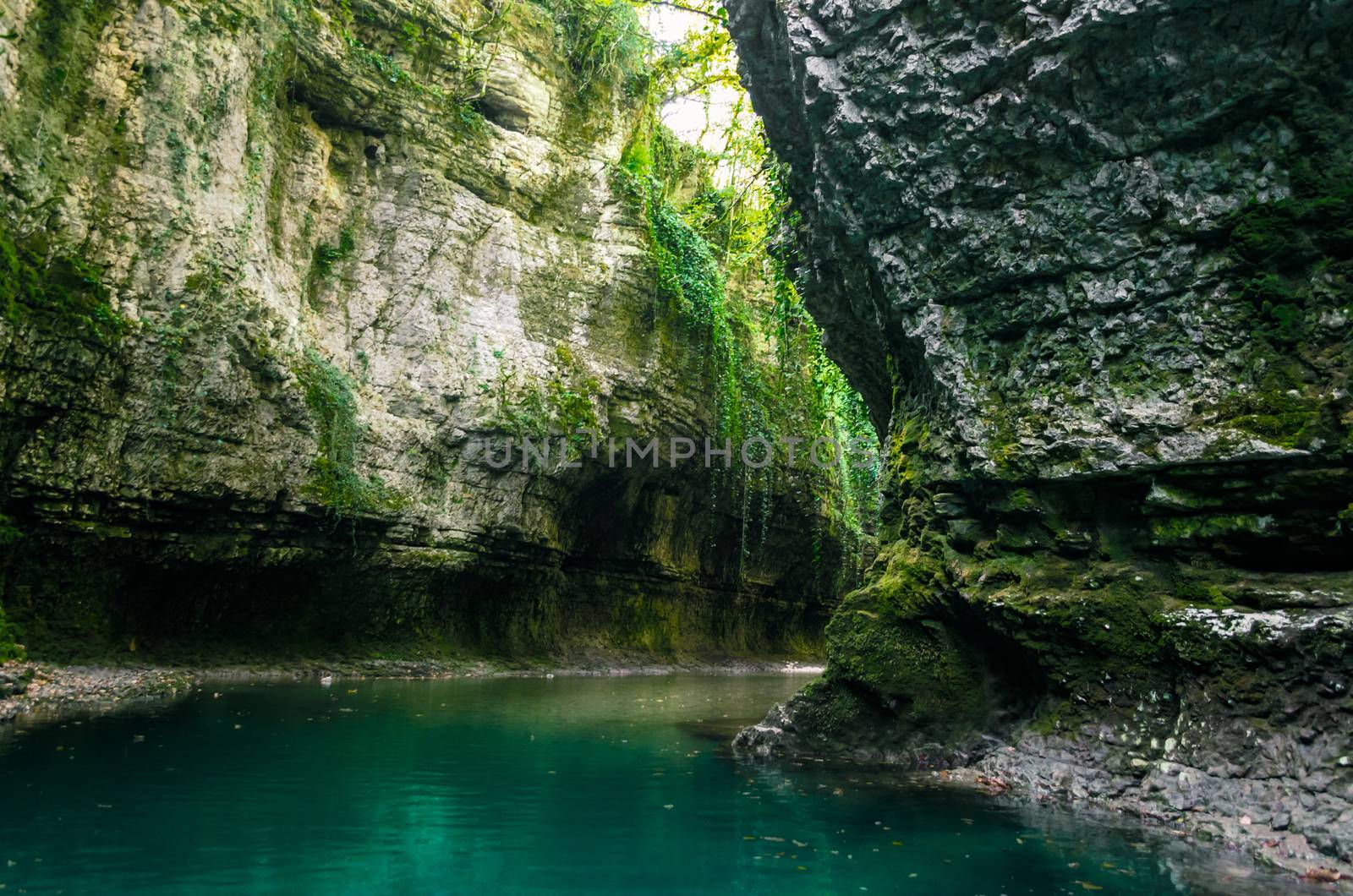 mountain river of high stone cliffs with green plants in the Martvili Canyon in Georgia in autumn