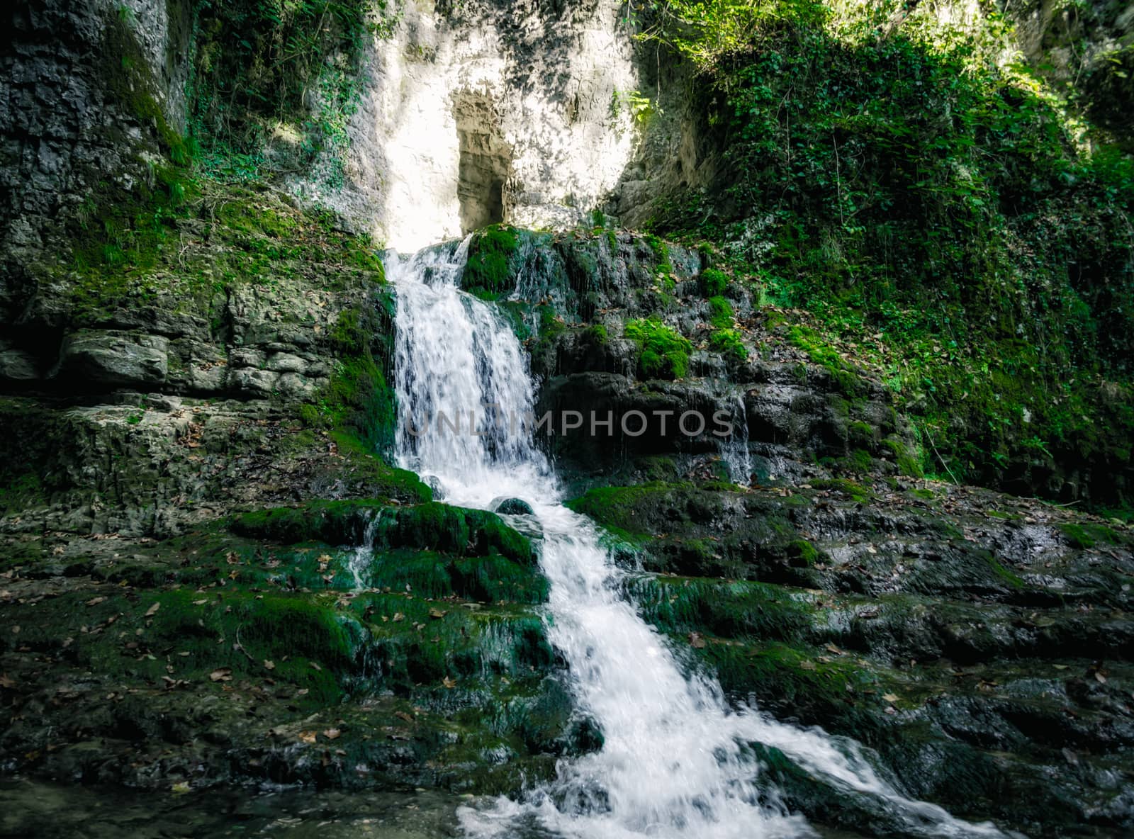 mountain river and stream among high stone cliffs with green plants in Martville Canyon in Georgia in autumn