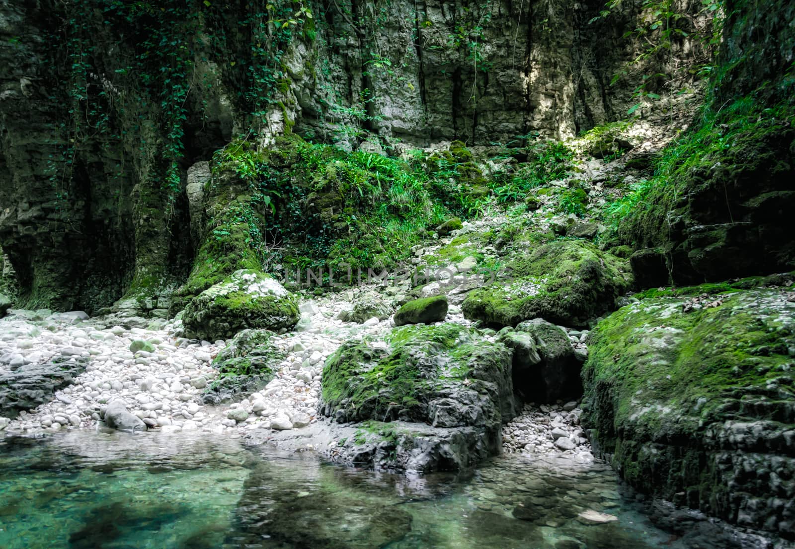 coast mountain river of high stone cliffs with green plants in Martville Canyon in Georgia in autumn