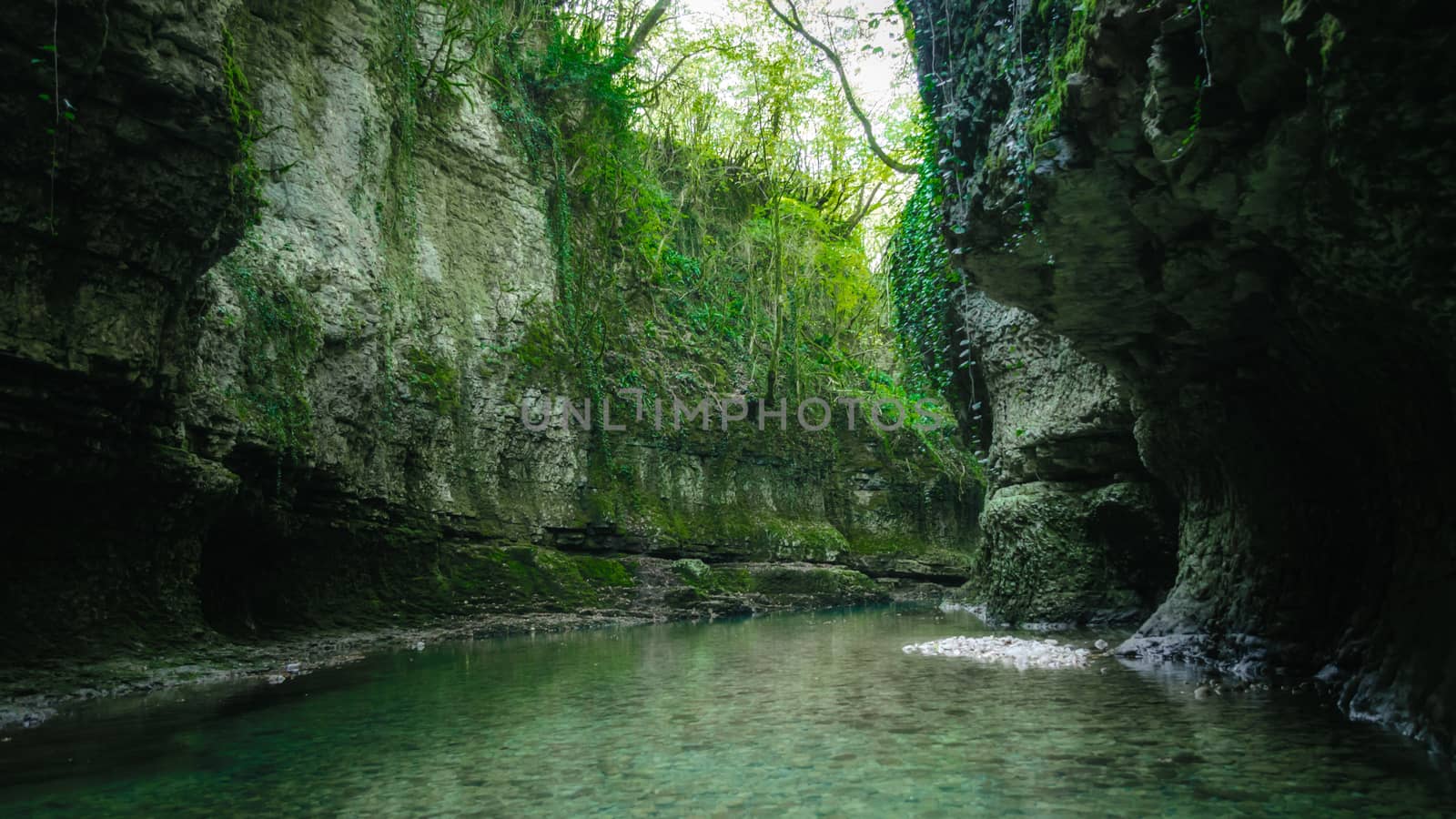 mountain river among high stone cliffs with green plants in the Martvili Canyon in Georgia in autumn