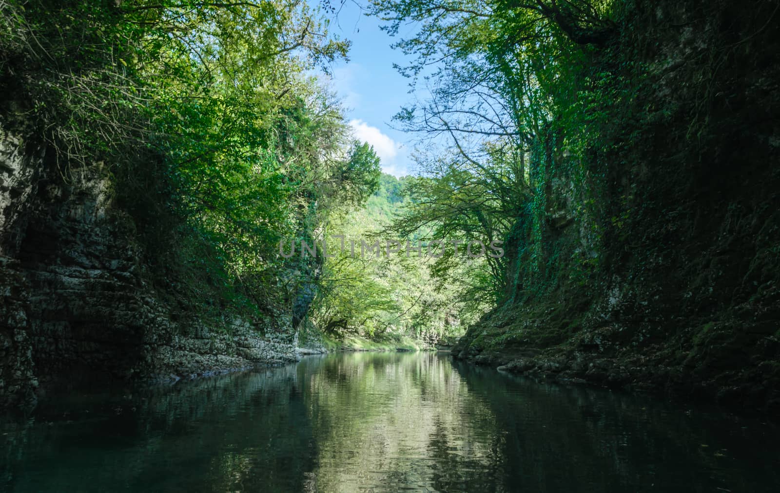 mountain river among stone rocks with green plants in the Martvili Canyon in Georgia in autumn