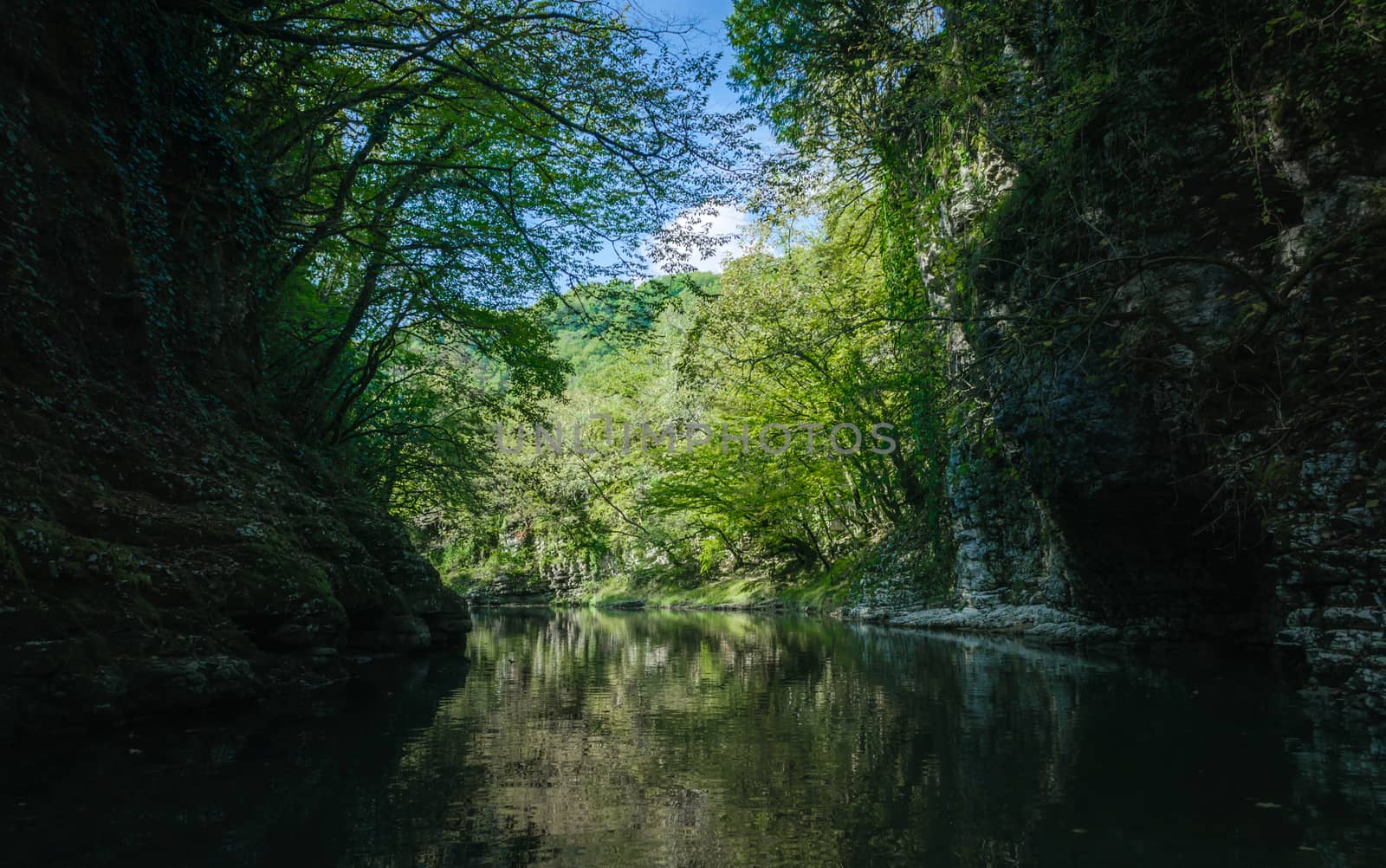 mountain river among stone rocks with green plants in the Martvili Canyon in Georgia in autumn