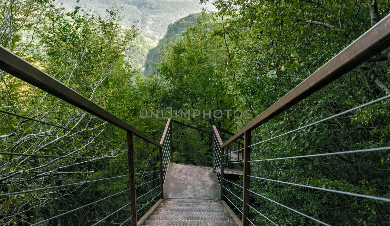 iron stairs in a forest with green trees in a canyon in Georgia in autumn