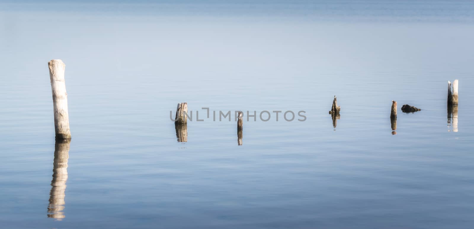 wooden posts in calm lake water in the afternoon autumn