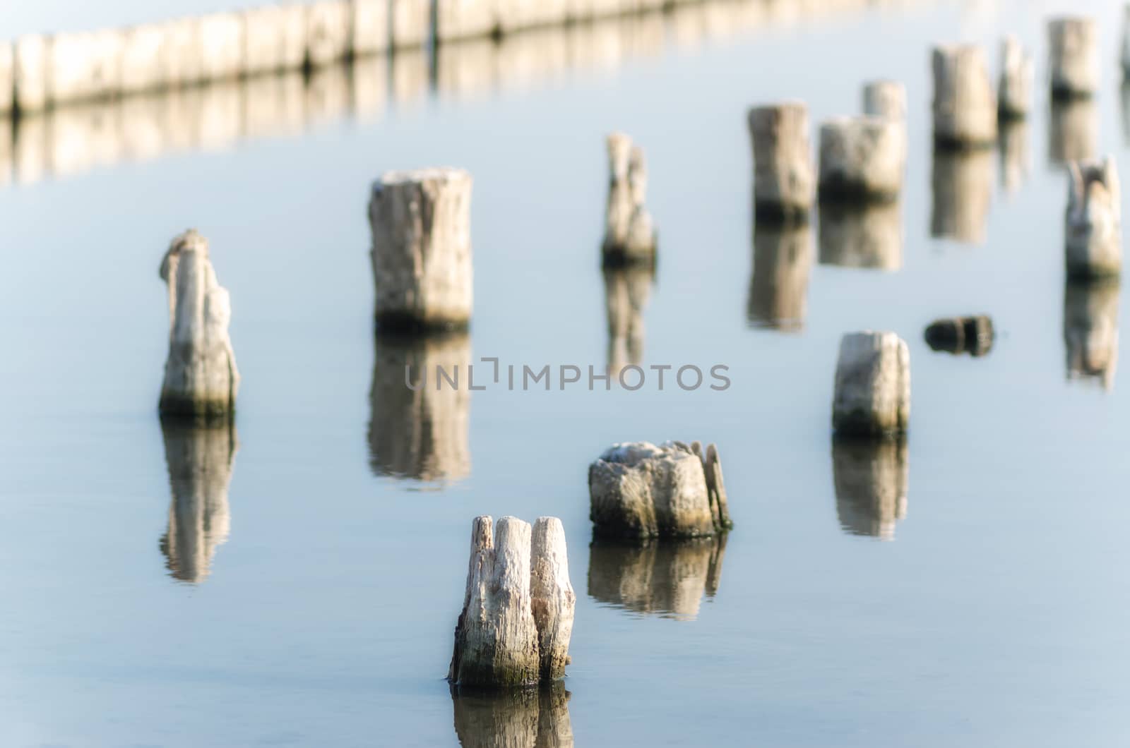 wooden posts in calm lake water in the afternoon autumn