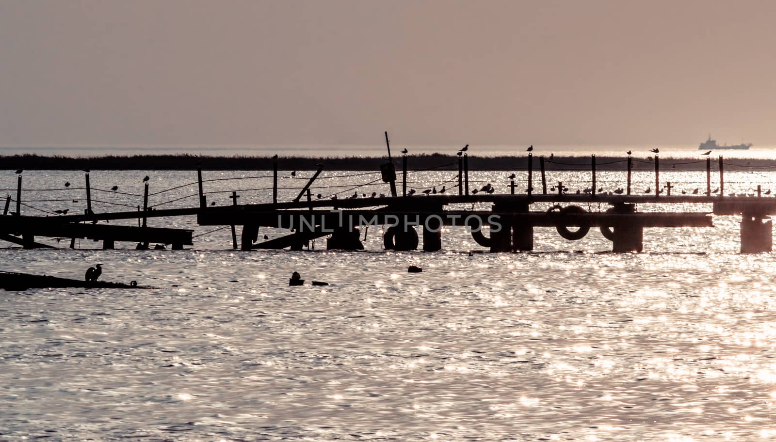 silhouette of an old broken pier with birds in the sea in summer evening