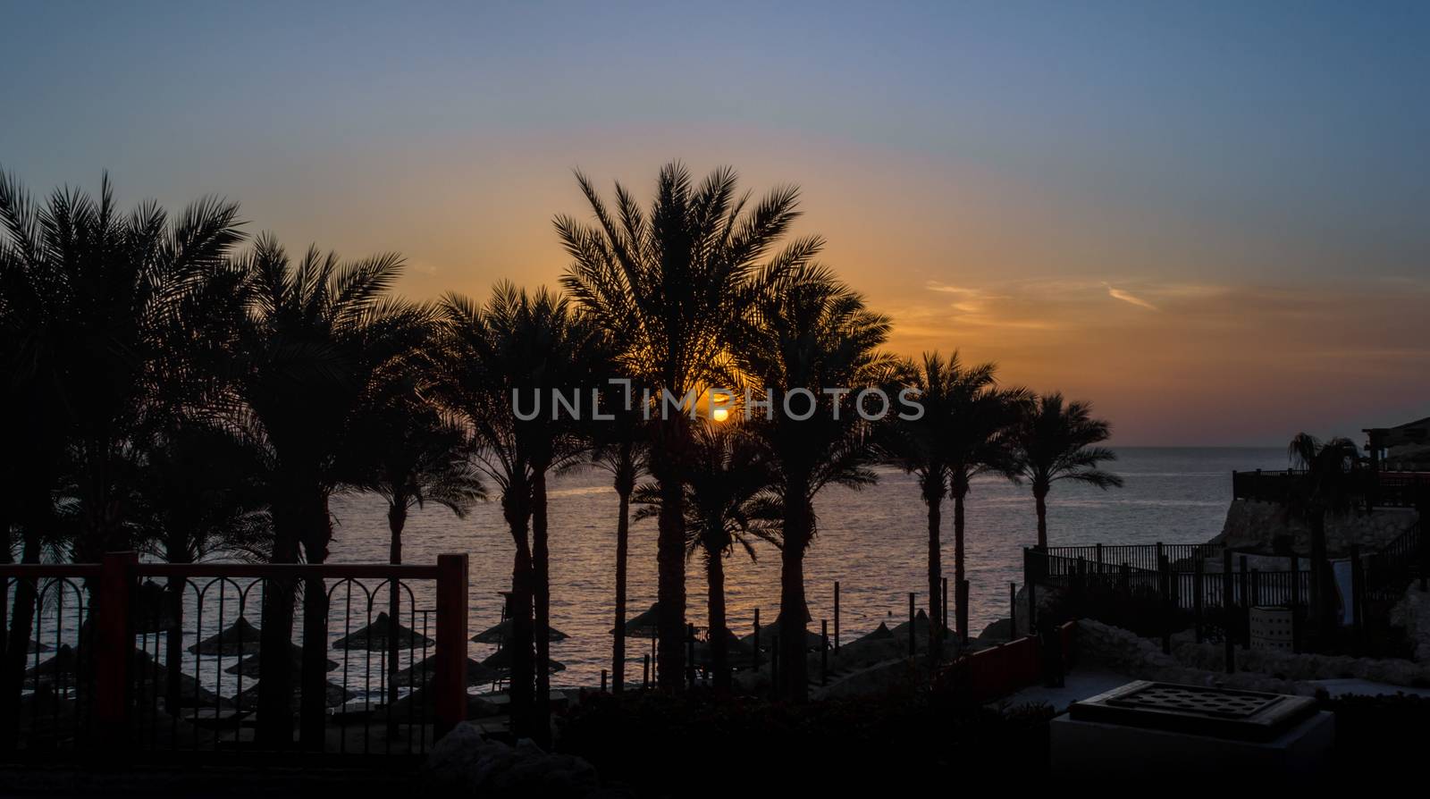 landscape dawn sky palms and hotel in egypt in Sharm El Sheikh