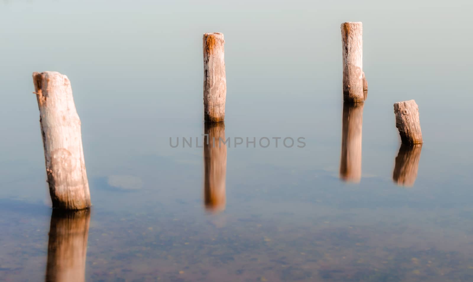 wooden columns in a calm surface of the water