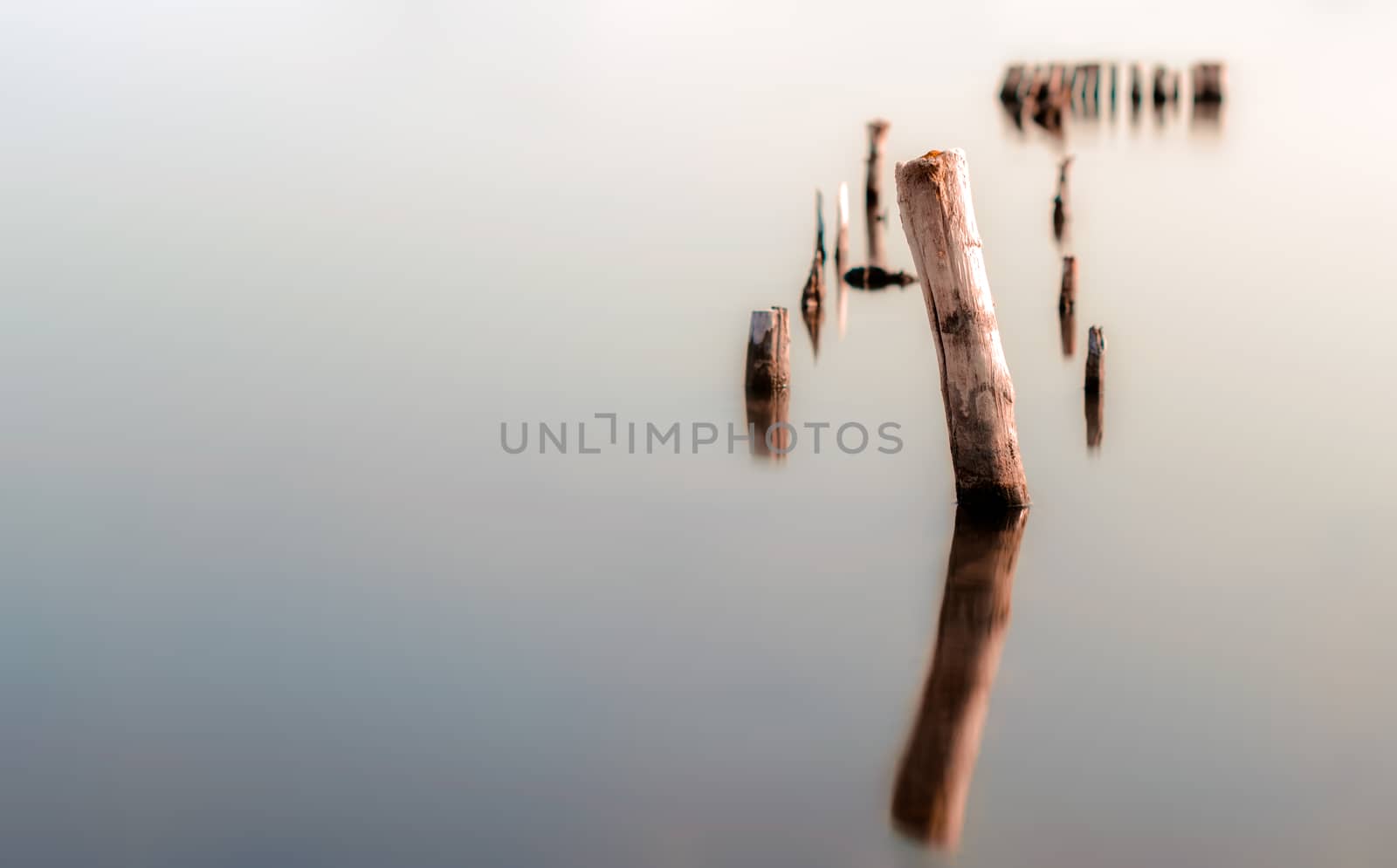 wooden columns in a calm surface of the water