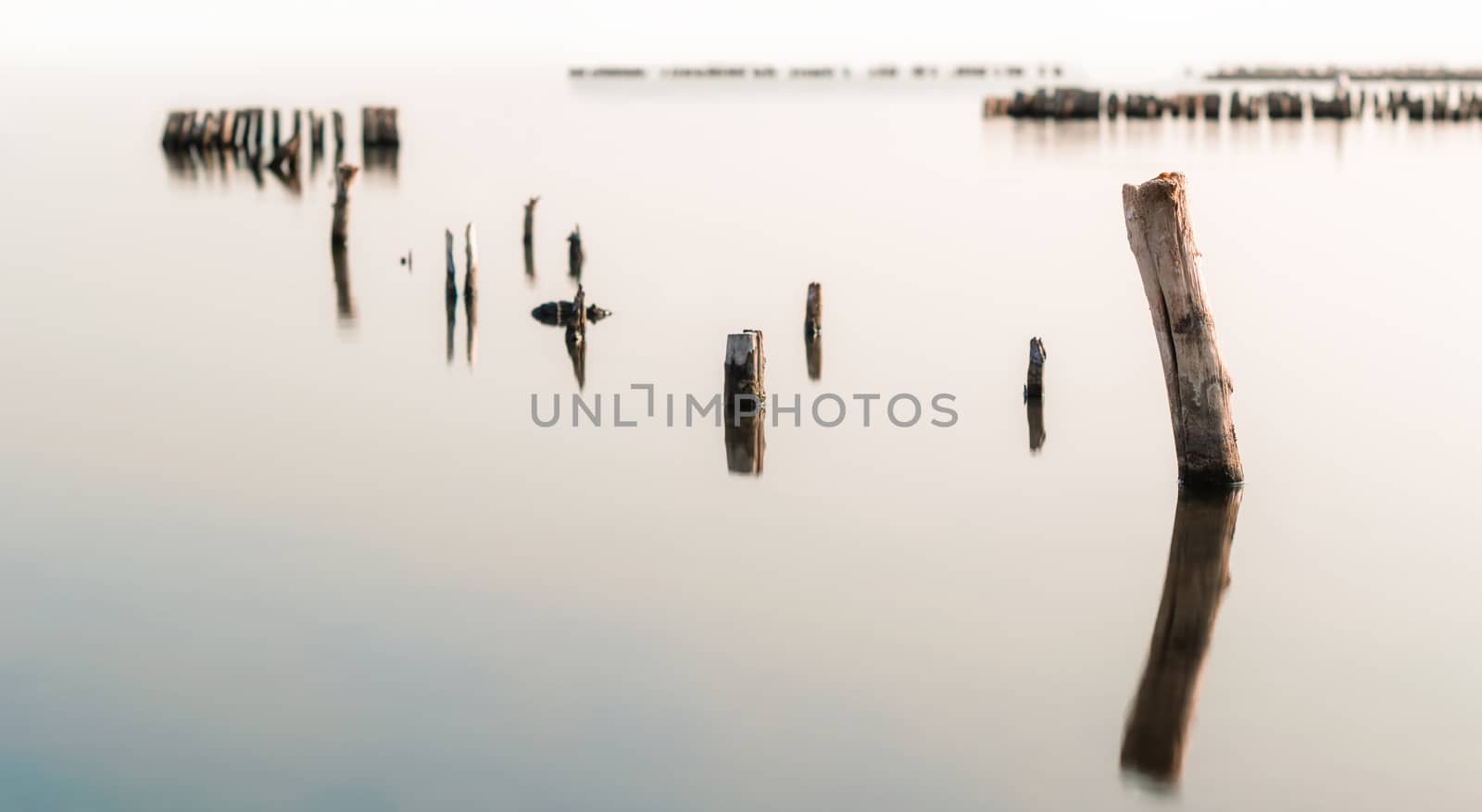 wooden columns in a calm surface of the water